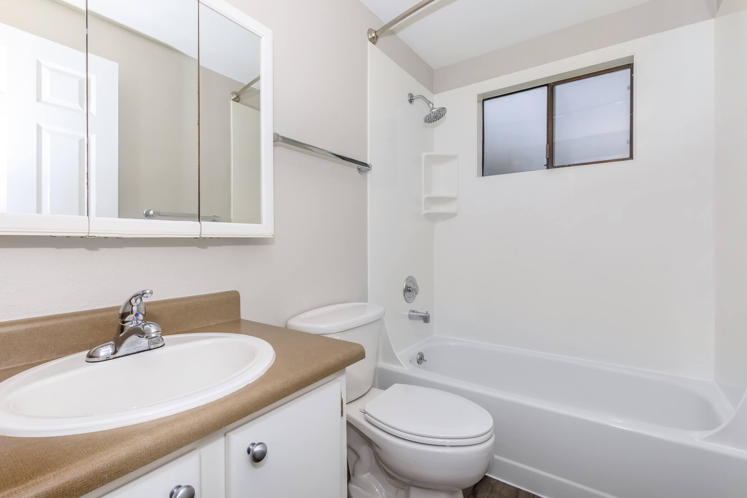 a sink and a mirror