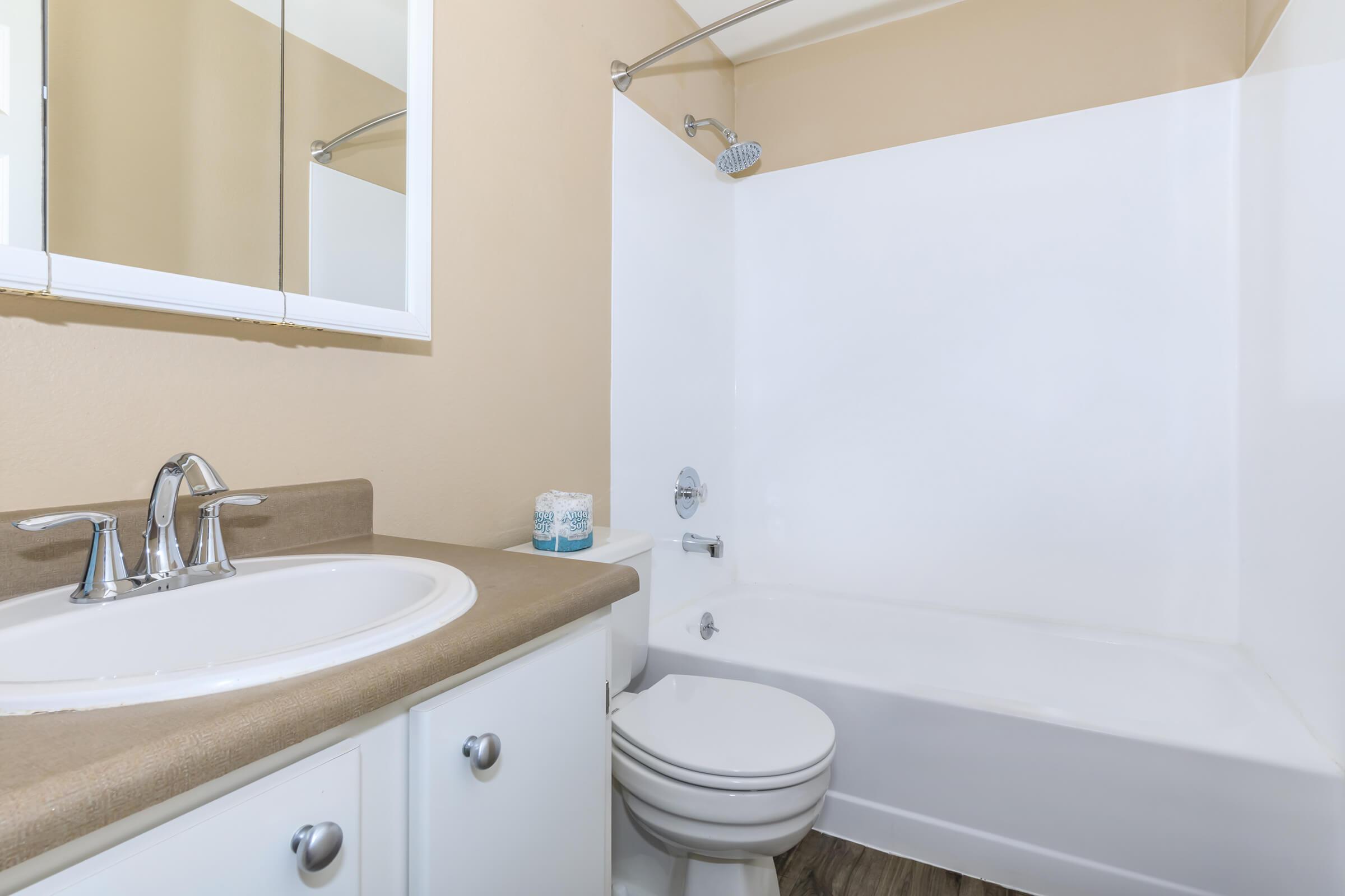 a sink and a mirror
