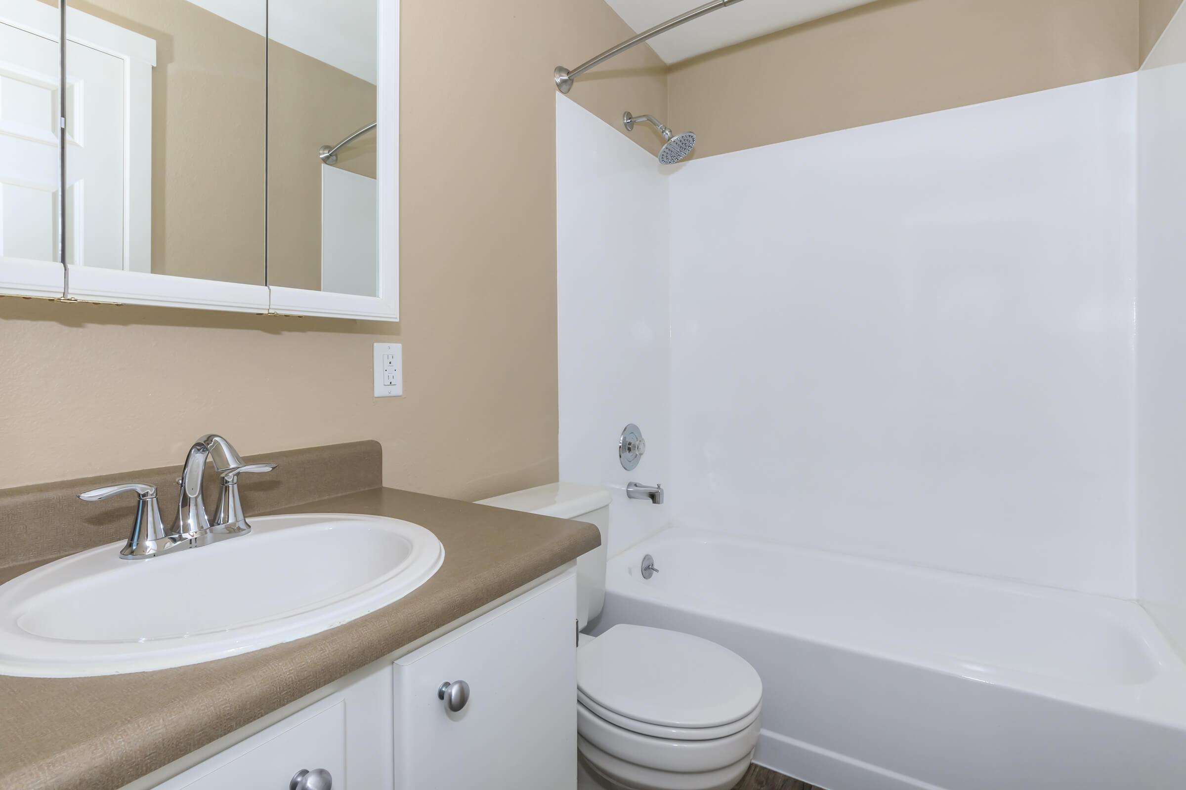 a sink and a mirror
