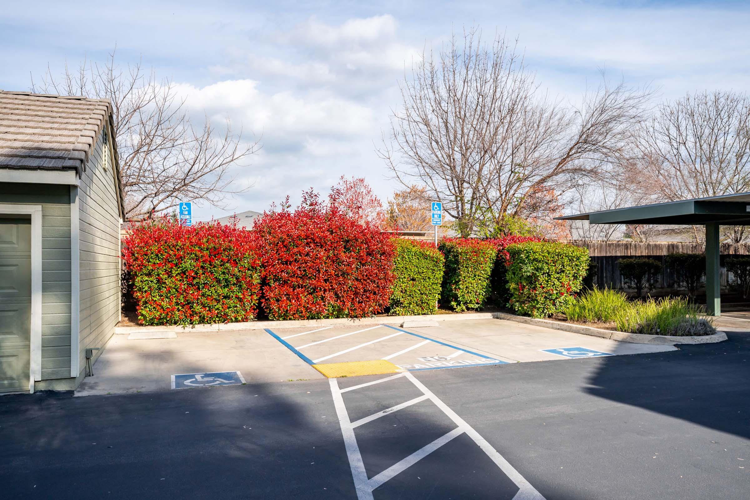 A partially empty parking lot featuring designated handicap spaces. In the background, there are vibrant red bushes and green hedges, while nearby trees are bare, indicating a transition to winter. The sky is partly cloudy, creating a serene outdoor scene.