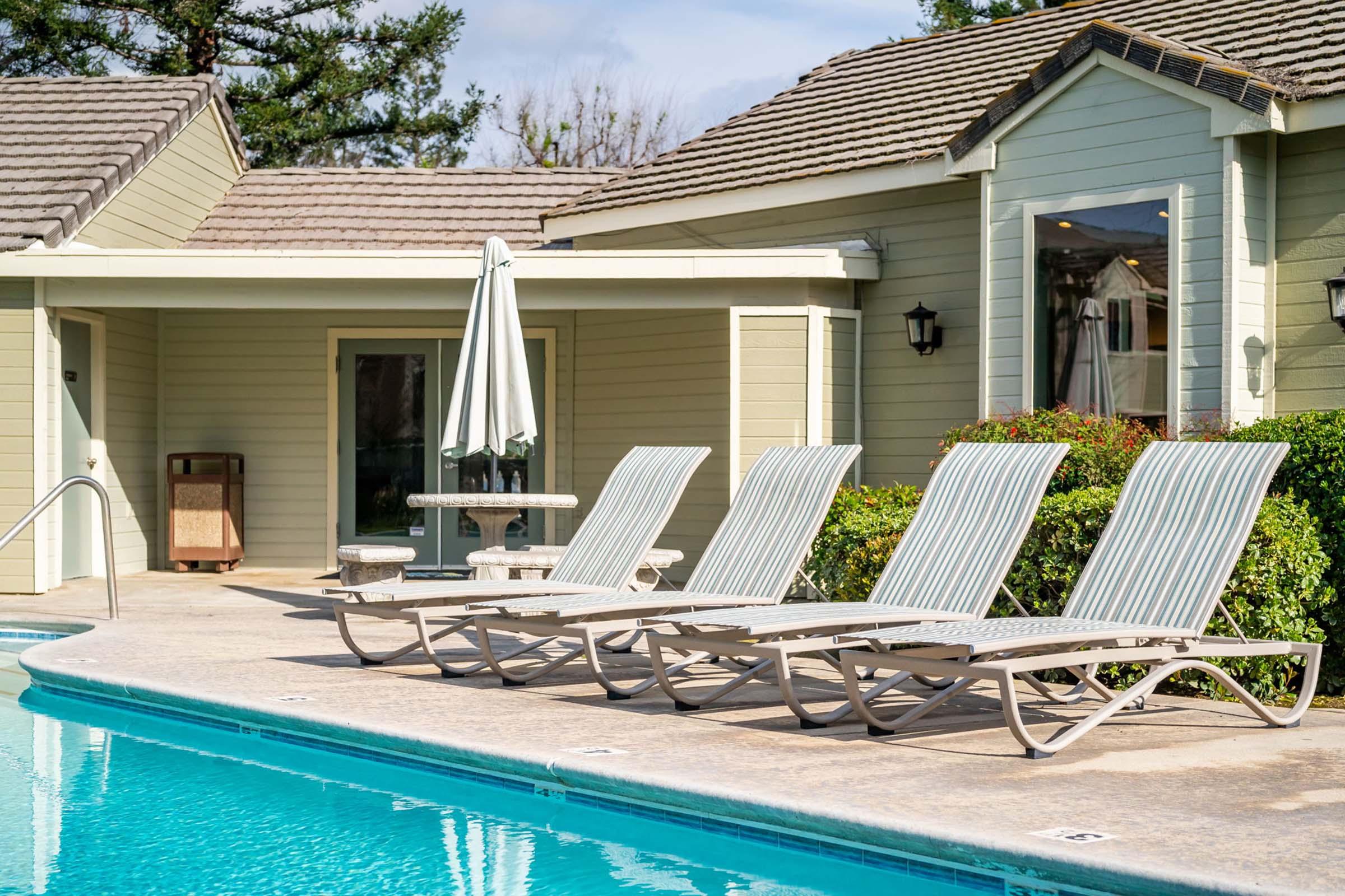 A serene outdoor pool area featuring four lounge chairs arranged beside a clear blue pool. In the background, a light green building with large windows and a patio umbrella can be seen, surrounded by neatly trimmed bushes and trees. The scene evokes a relaxing atmosphere ideal for leisure and sunbathing.