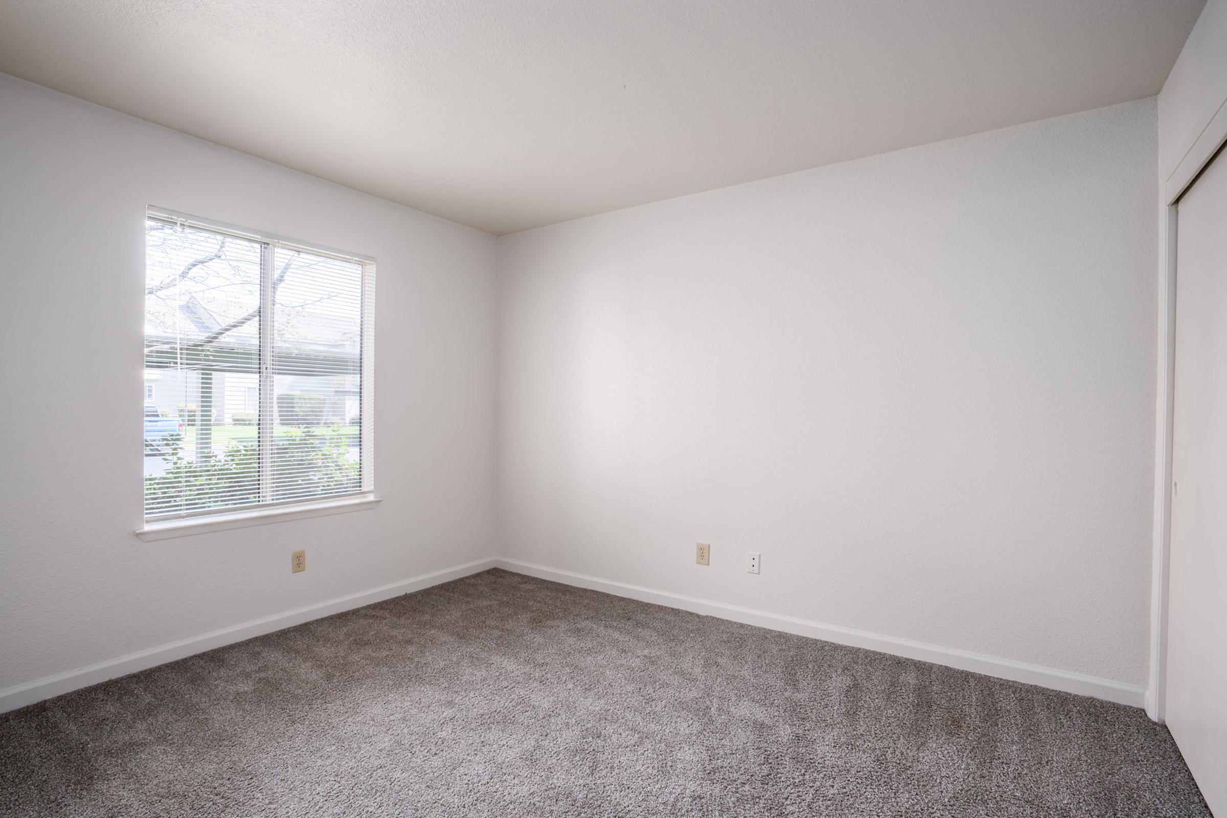 A clean, empty room featuring gray carpet and light-colored walls. The space includes a window with natural light filtering in, revealing a view of greenery outside. There is a closet door on one wall, contributing to the minimalistic and uncluttered feel of the room.