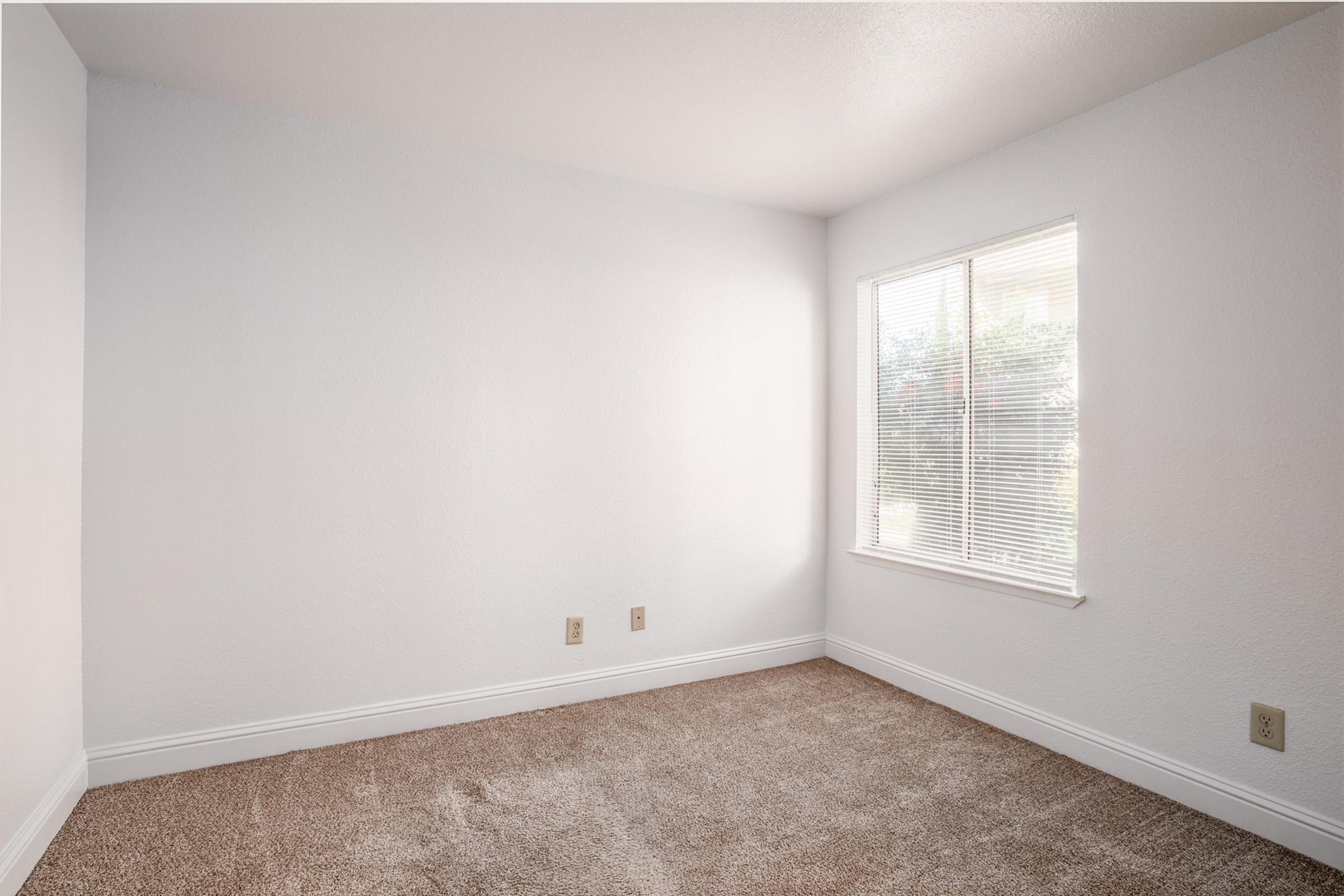 A small, empty room with light-colored walls and soft, beige carpet. A large window lets in natural light, illuminating the space. The window has white blinds partially drawn. There are two electrical outlets on the walls, and the overall atmosphere is bright and minimalist.