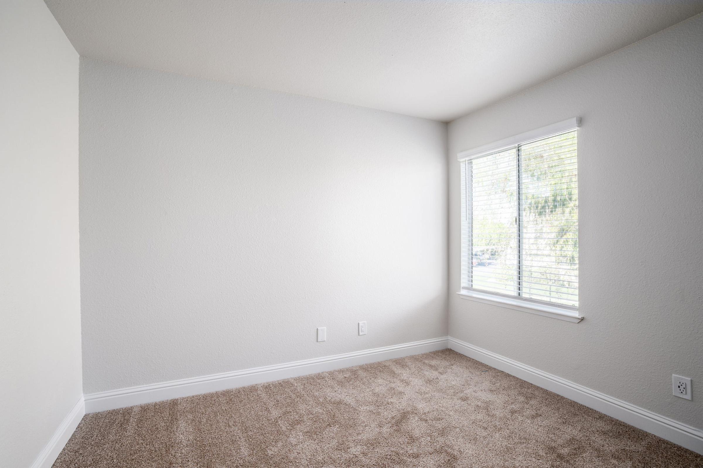 Empty room with light gray walls and beige carpet. A window with blinds lets in natural light, illuminating the space. No furniture or decorations are present, creating a minimalistic and airy atmosphere.
