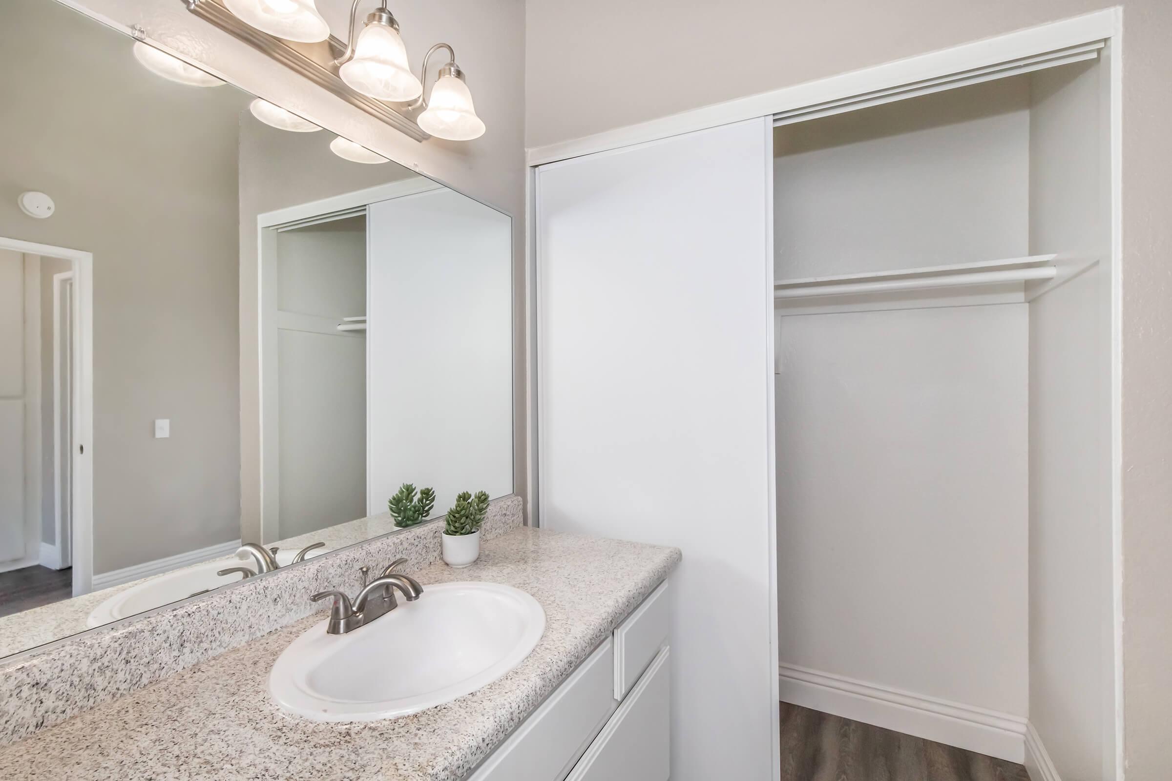 A modern bathroom featuring a light-colored countertop with a sink, a large mirror, and wall-mounted lights. There is an empty closet space with shelves on one side. The walls are painted a soft tone, and a small plant is placed near the sink for decoration.