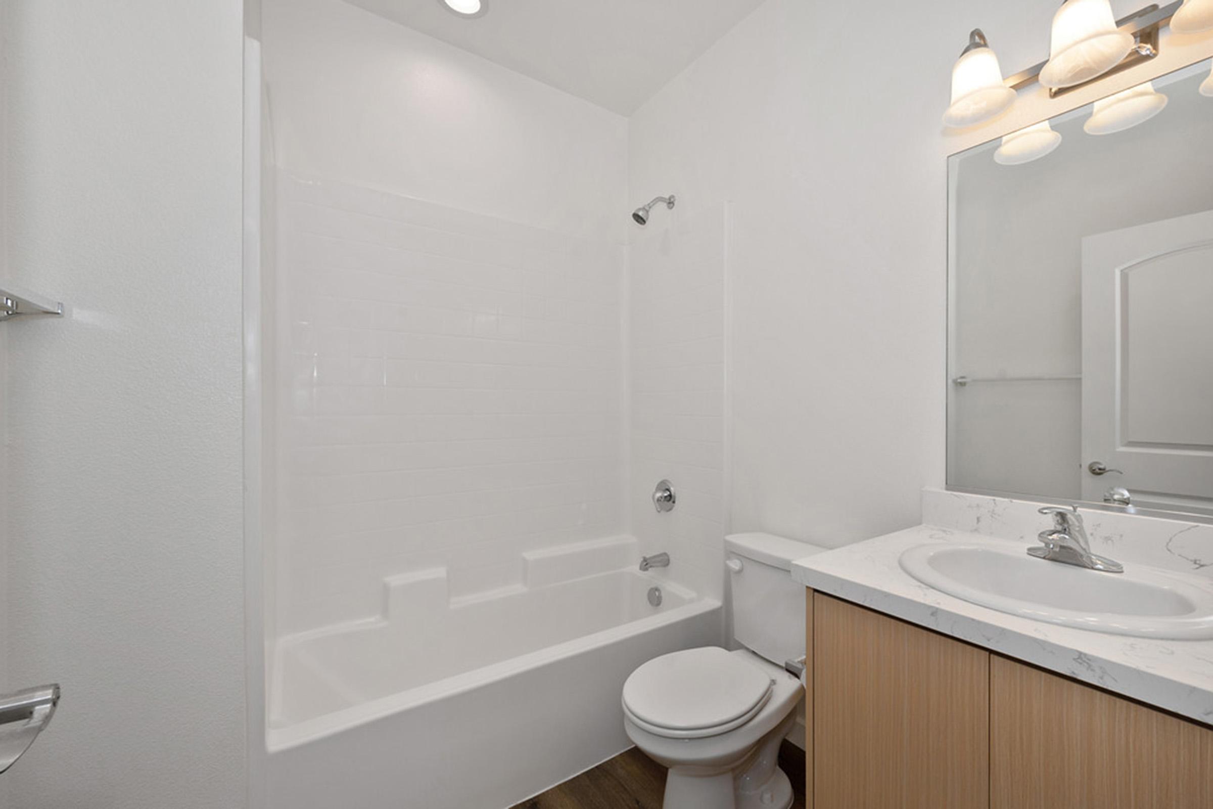 a bathroom with a vanity and a toilet