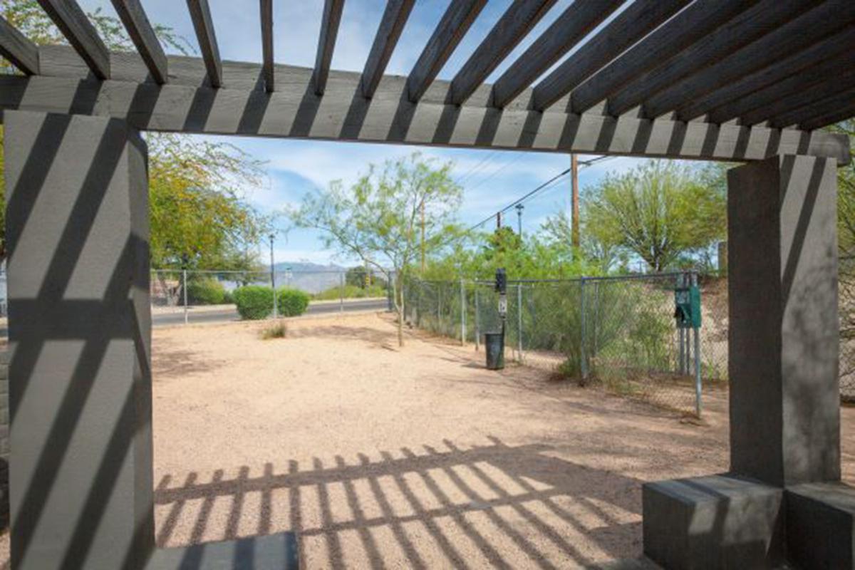 dog-park-apartments-in-east-tucson.jpg