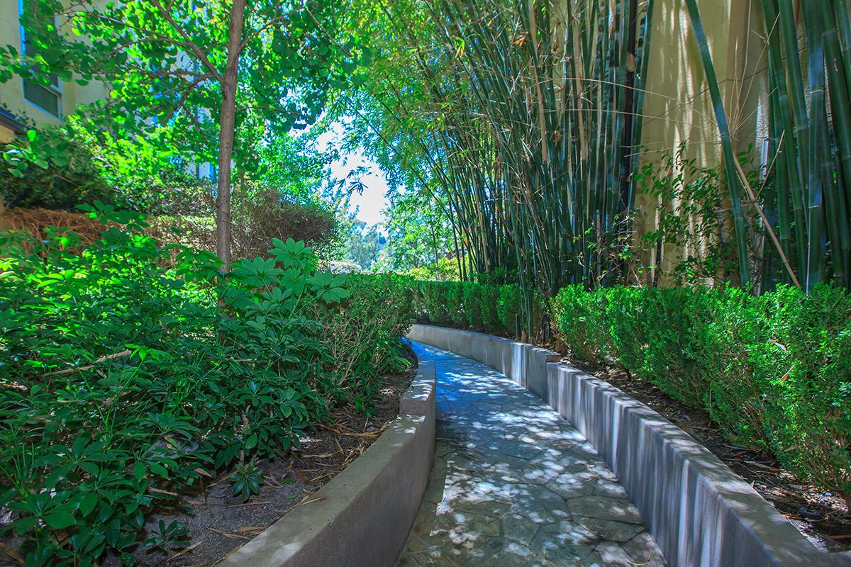 a garden with water in the background