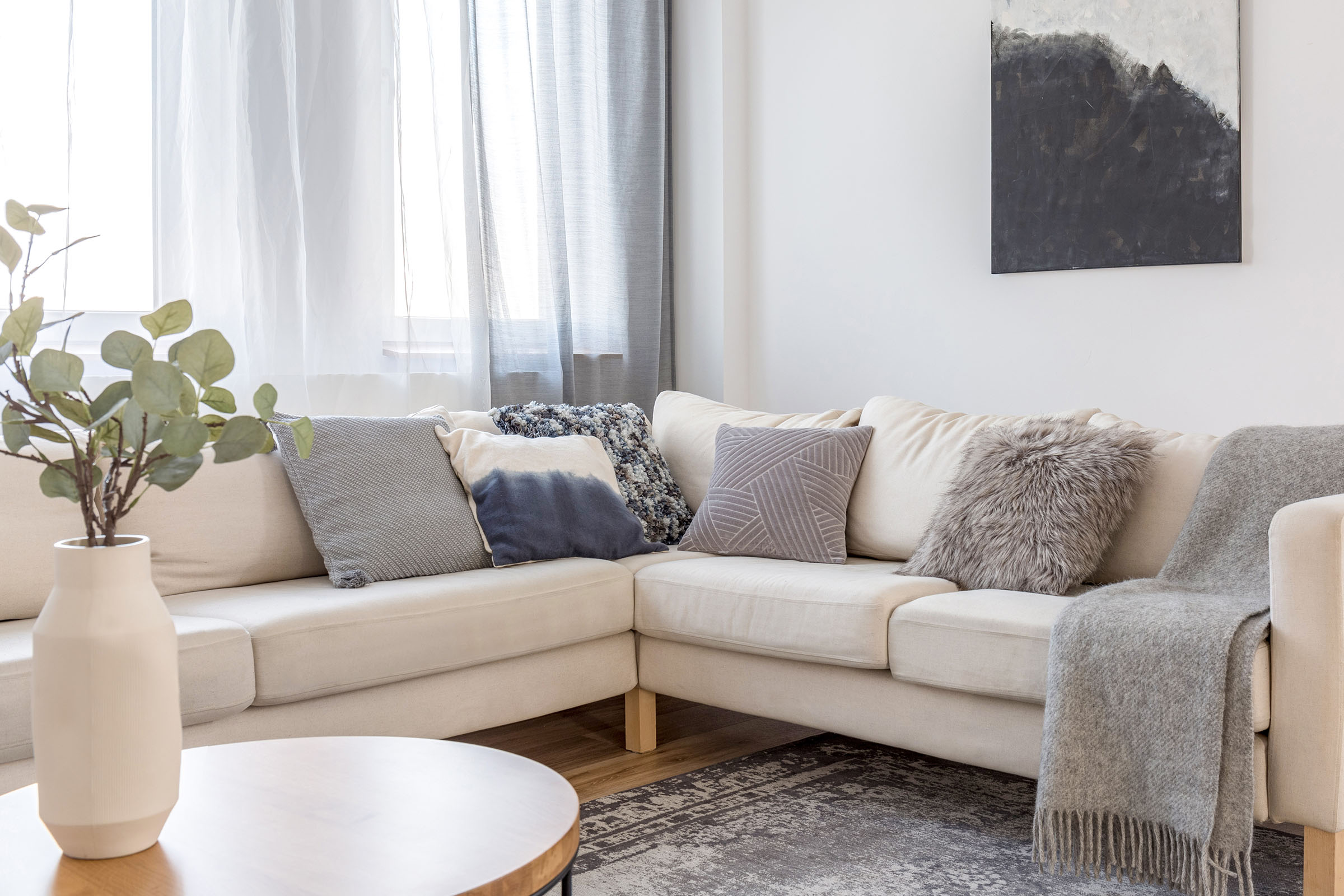 Apartment Features
