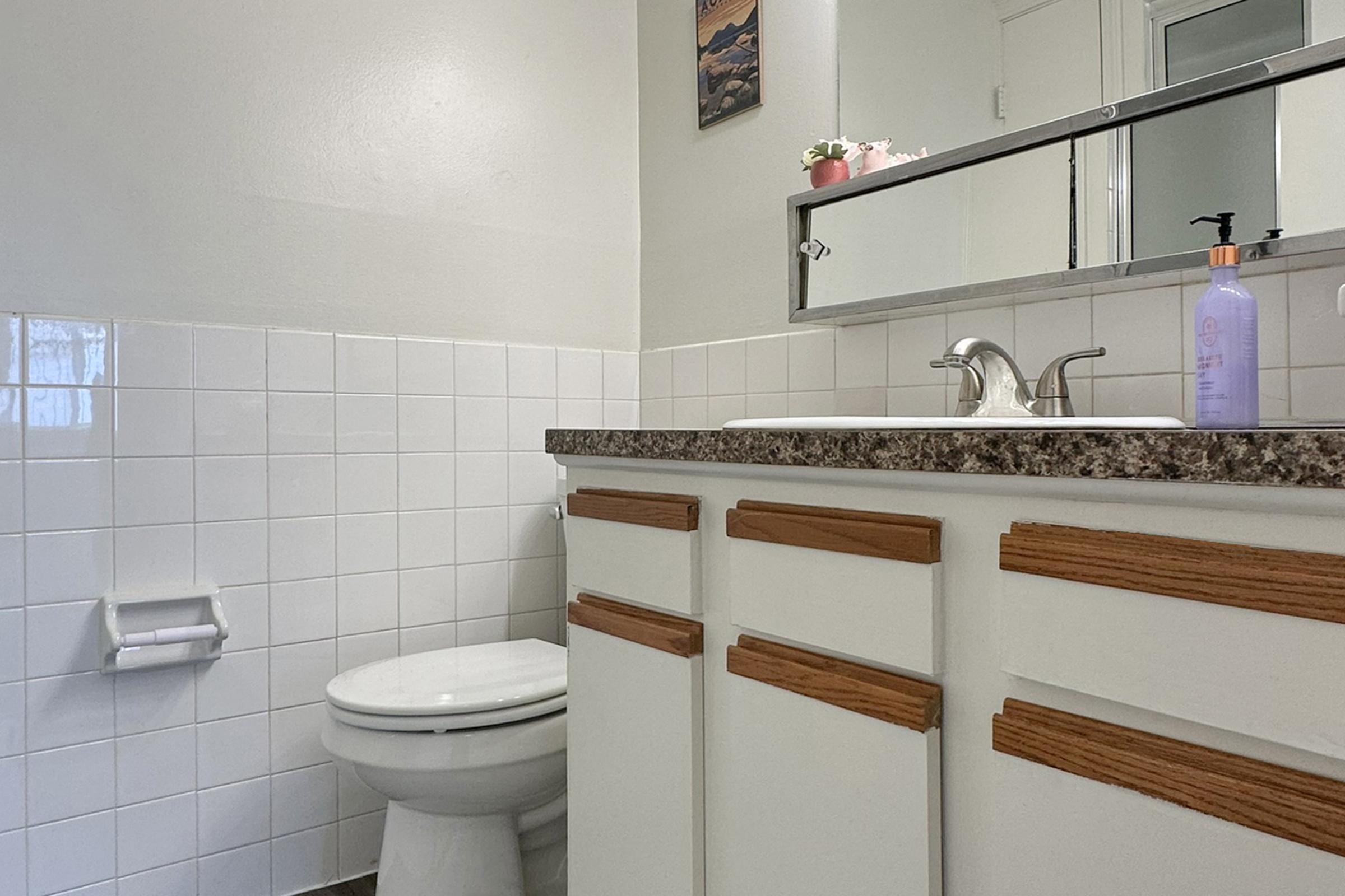 A clean and modern bathroom featuring a white tiled floor and walls, a toilet, and a sink with a granite countertop. There is a mirror above the sink and a small plant on the counter. The bathroom is well-lit, with neutral-colored walls and a framed picture on the wall.