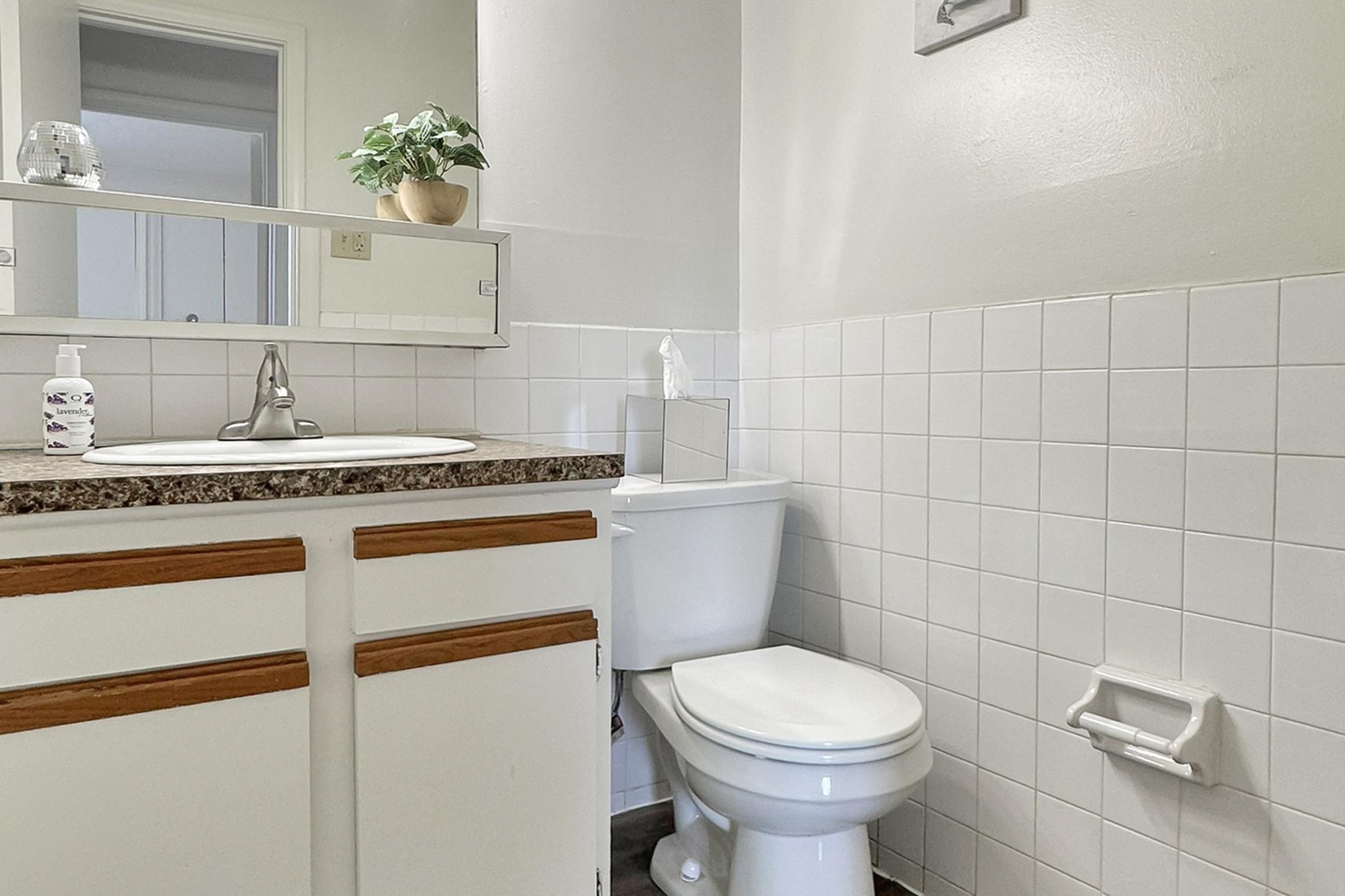 A compact bathroom featuring a white toilet beside a sink with a granite countertop. The walls are tiled in light colors, and there’s a mirror above the sink. A small potted plant is placed on the countertop, adding a touch of greenery. Overall, the space appears clean and well-maintained.