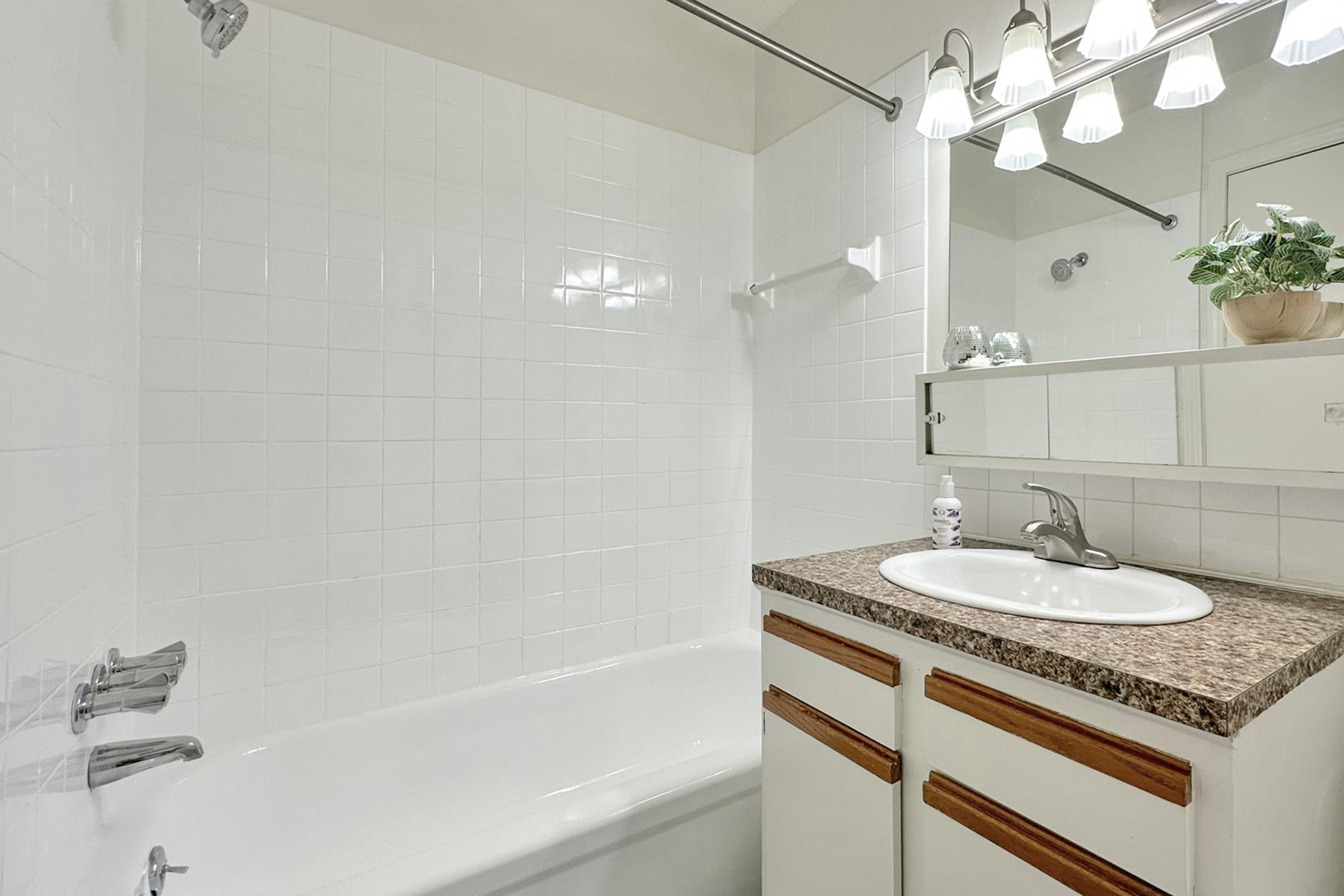 A clean, bright bathroom featuring a bathtub with a white tiled wall, a dark speckled countertop with a sink, and a large mirror. Overhead, there are five light fixtures. A small green plant is placed on the counter, adding a touch of decor. The overall design is simple and functional.
