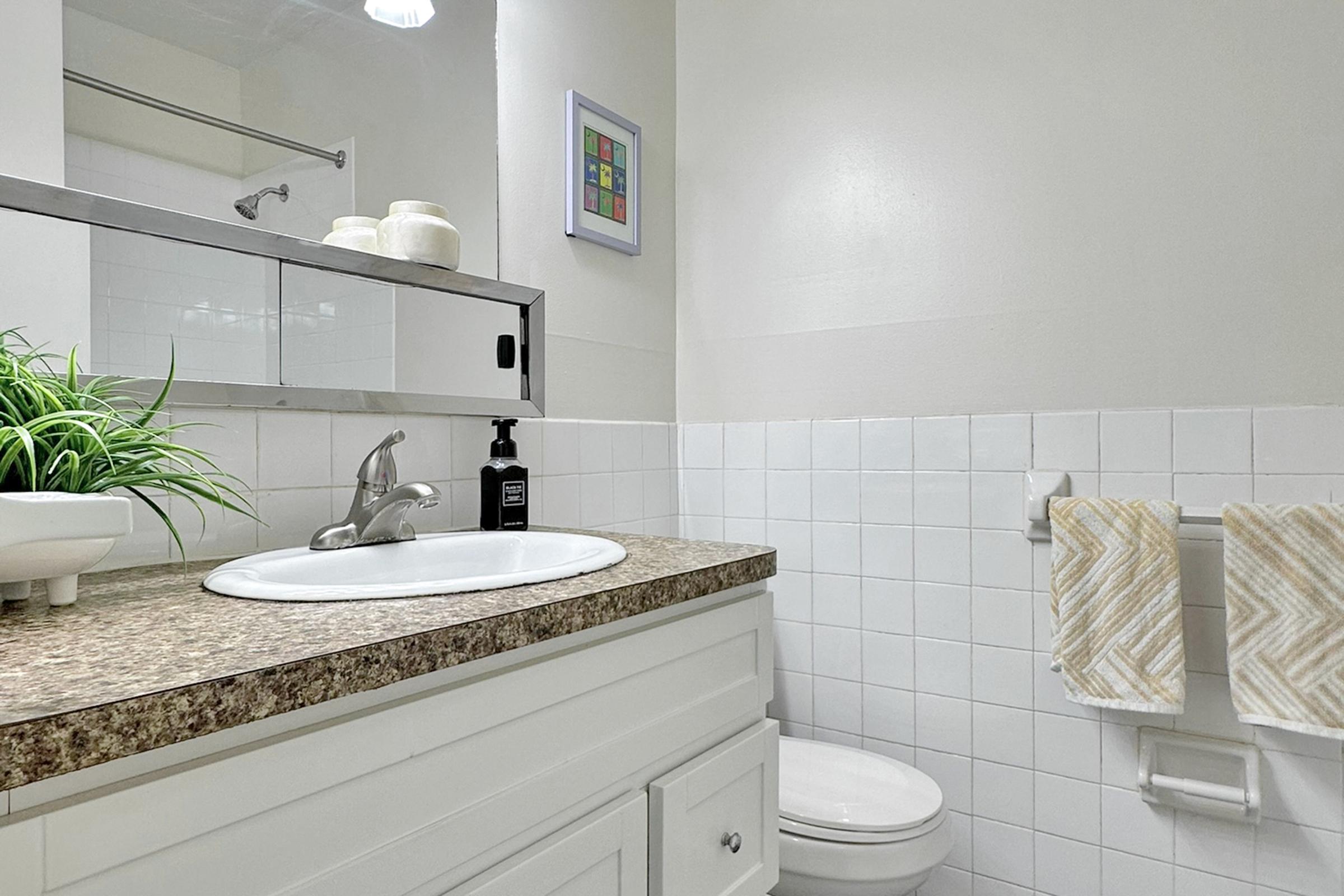 A clean bathroom featuring a white sink with a granite countertop, a towel rack with patterned towels, a wall-mounted mirror, and a small plant for decoration. The walls are painted a light color, and there is a colorful framed picture on the wall. A toilet is visible in the corner.