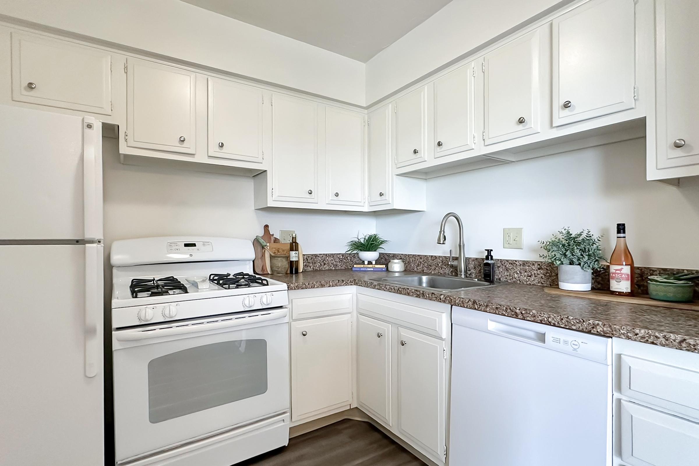 Modern kitchen with white cabinetry, a gas stove, and a stainless steel sink. Features a granite countertop with small plants and kitchen tools, alongside a dishwasher and refrigerator. Bright and organized space, emphasizing a clean and functional design.