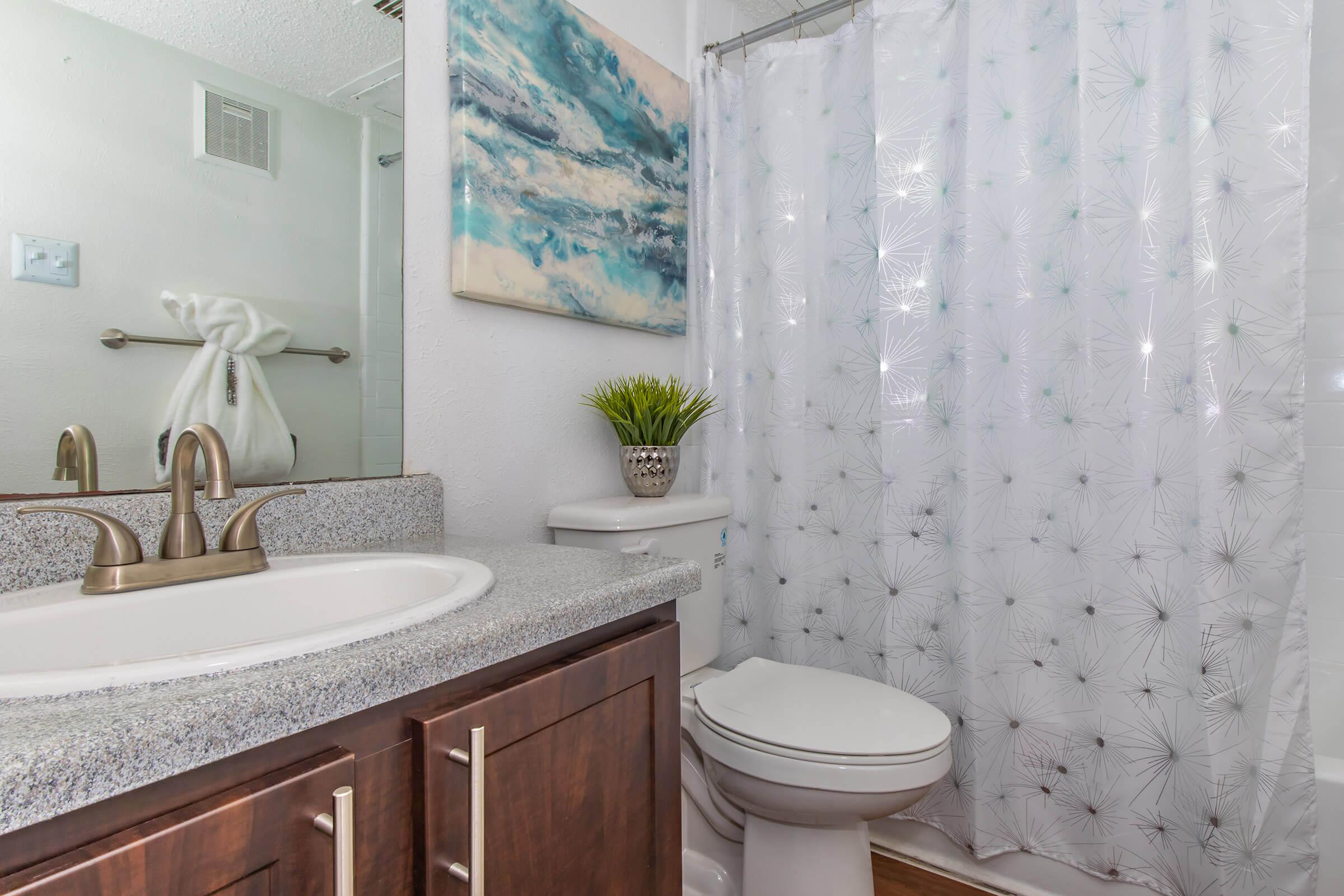 a room with a sink mirror and shower curtain