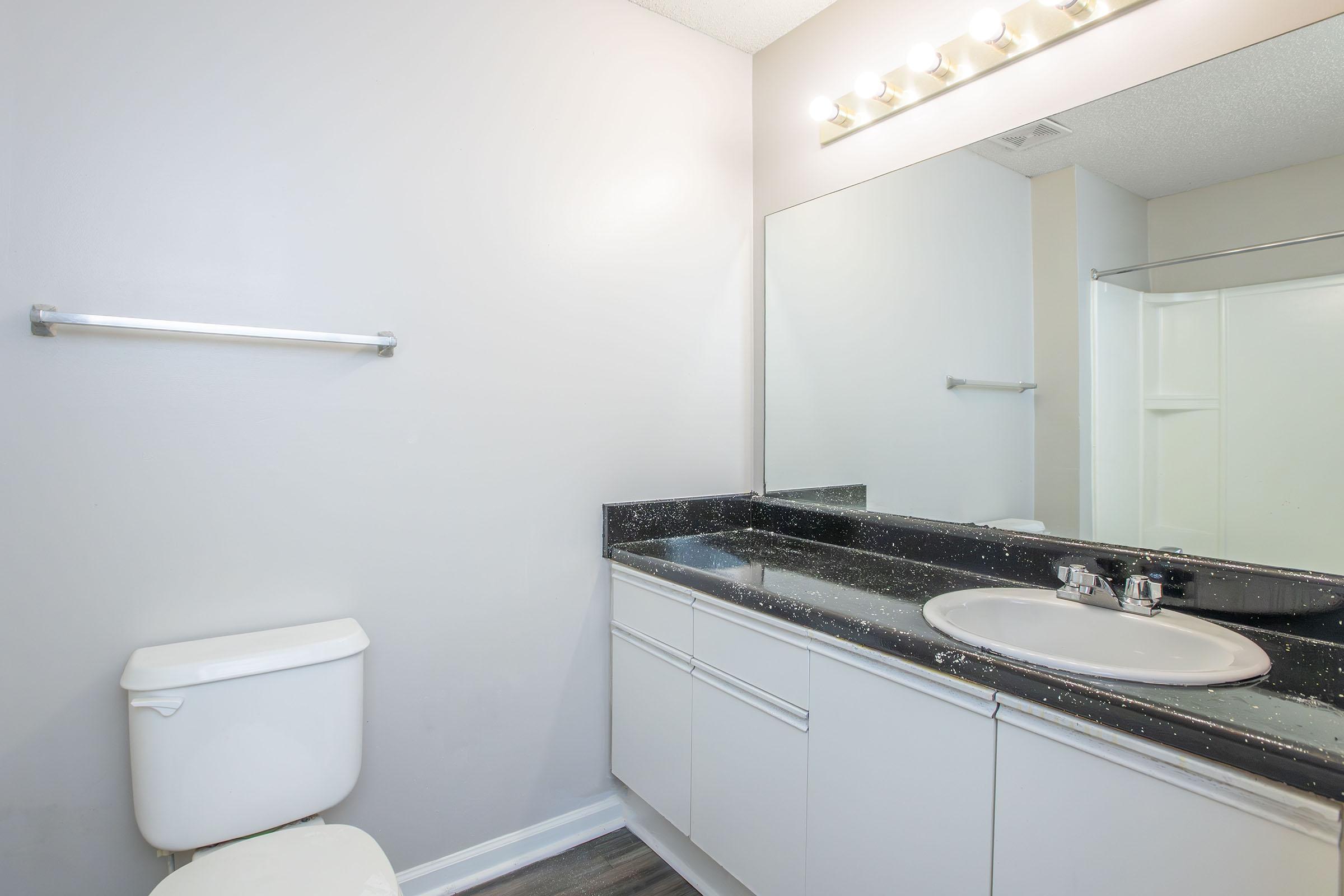 a sink and a mirror