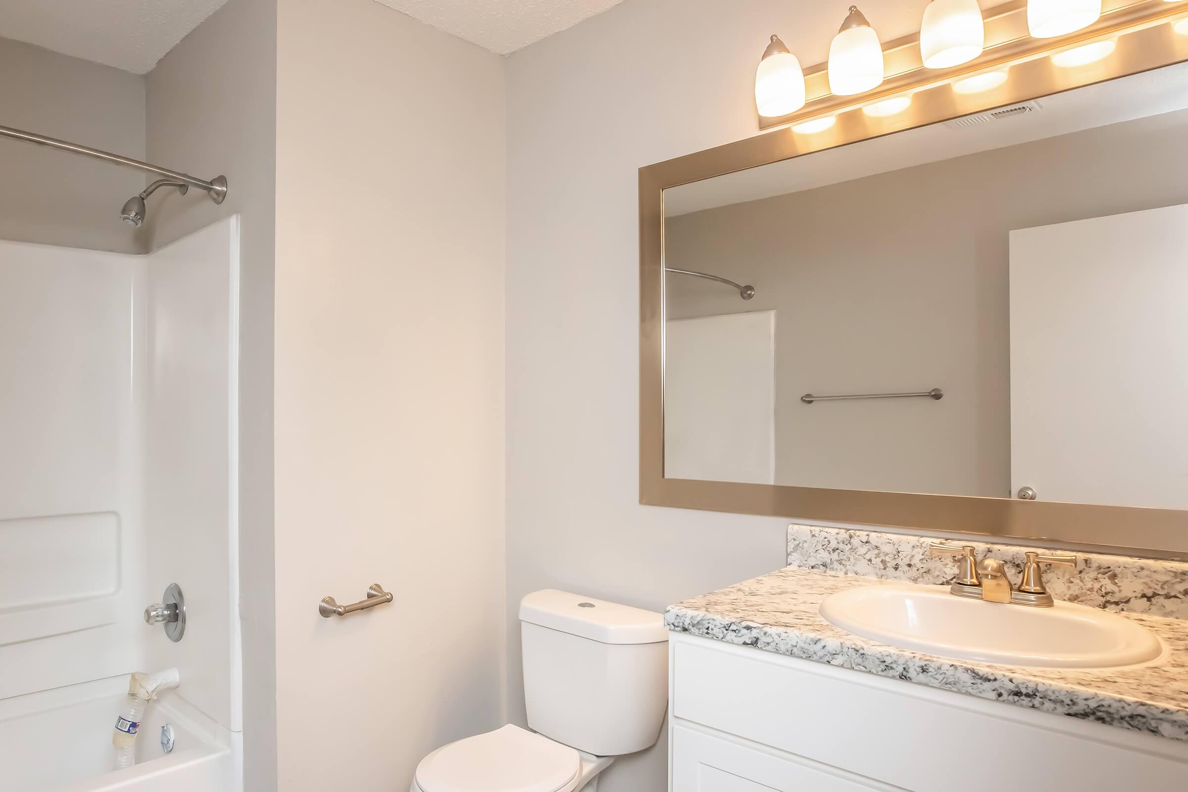 A modern bathroom featuring a shower with a white bathtub, a toilet, and a vanity with a granite countertop. Above the vanity, there is a large mirror and a triple light fixture. The walls are painted in a light gray color, creating a clean and contemporary aesthetic.
