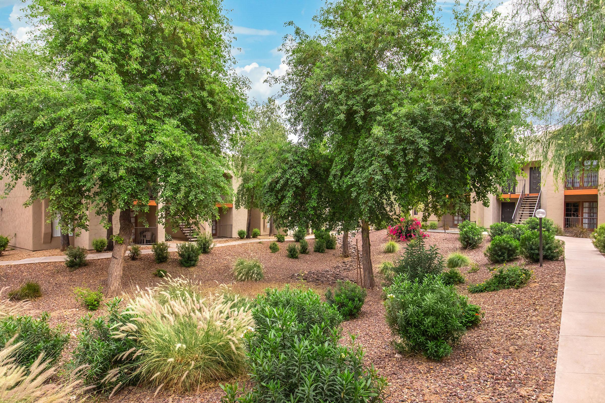 A serene courtyard featuring lush green trees and various shrubs, surrounded by gravel and landscaping. In the background, a building with balconies can be seen, creating a peaceful, inviting atmosphere. Bright blue skies add to the tranquil setting.