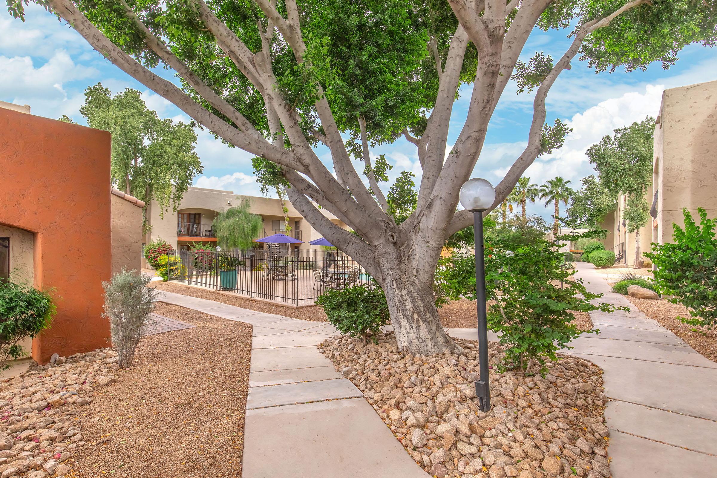 A landscaped pathway winding through a residential area, featuring a large tree with a textured trunk, rocks lining the ground, and a lamp post. In the background, there are buildings and a swimming pool area with umbrellas, framed by lush greenery and a bright blue sky.