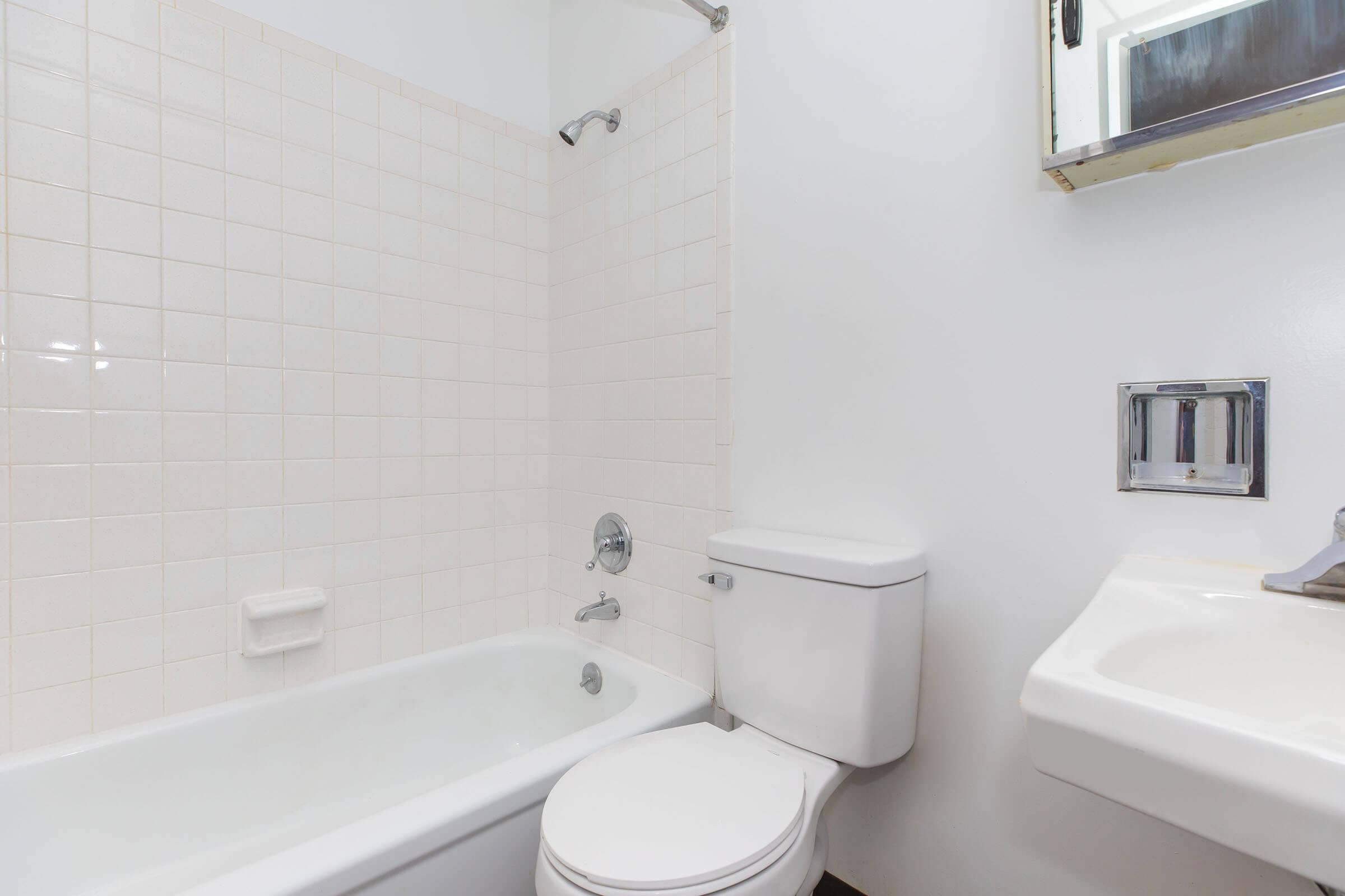 a shower that has a sink and a mirror