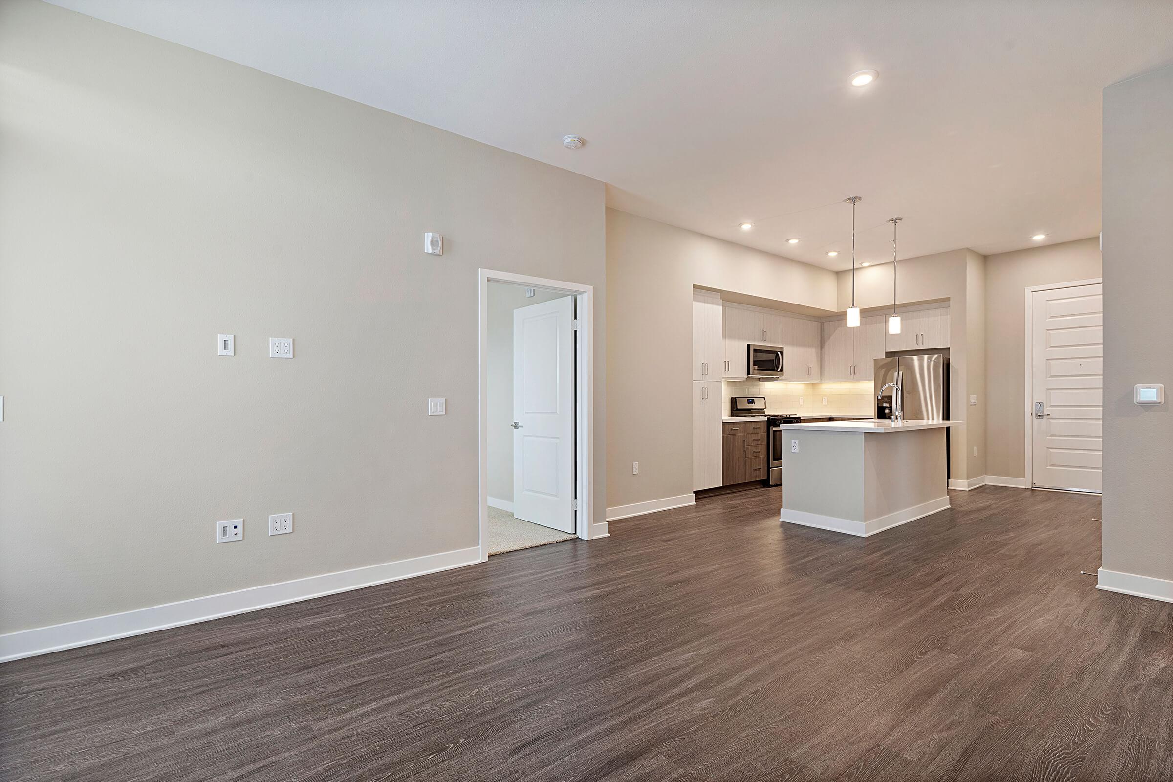 Living room and kitchen with wooden floors