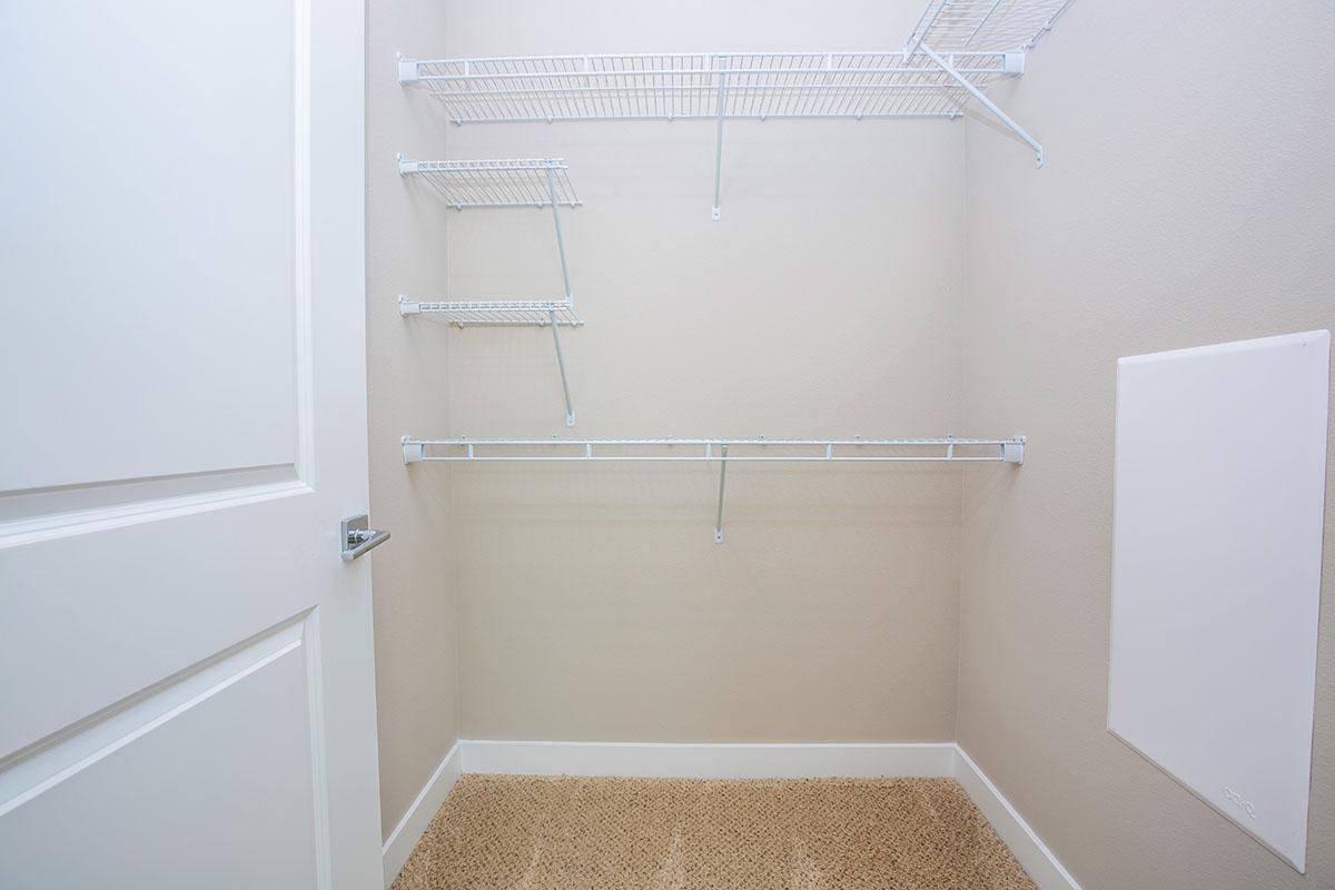 Unfurnished walk-in closet with carpet