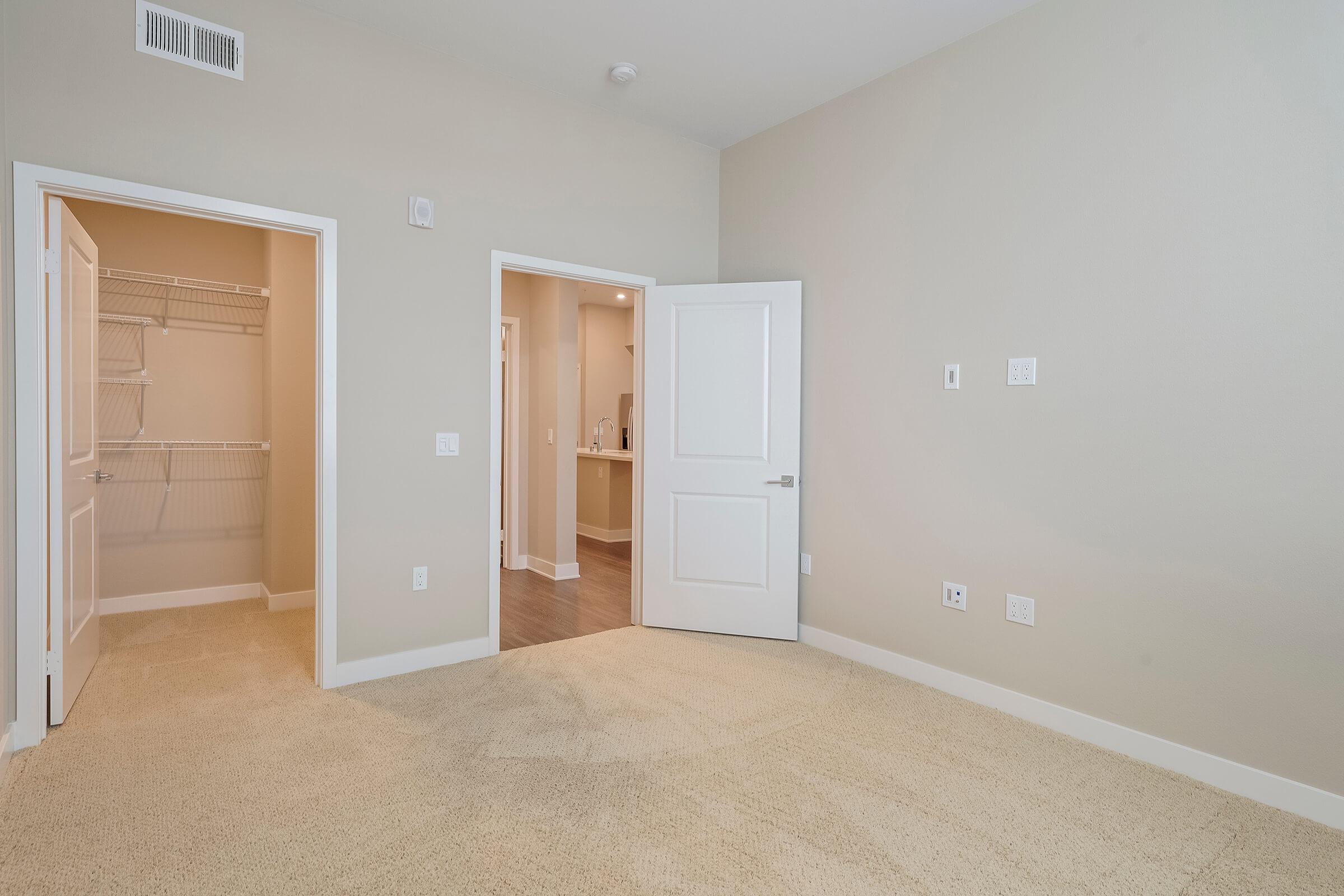 Carpeted bedroom with walk-in closet