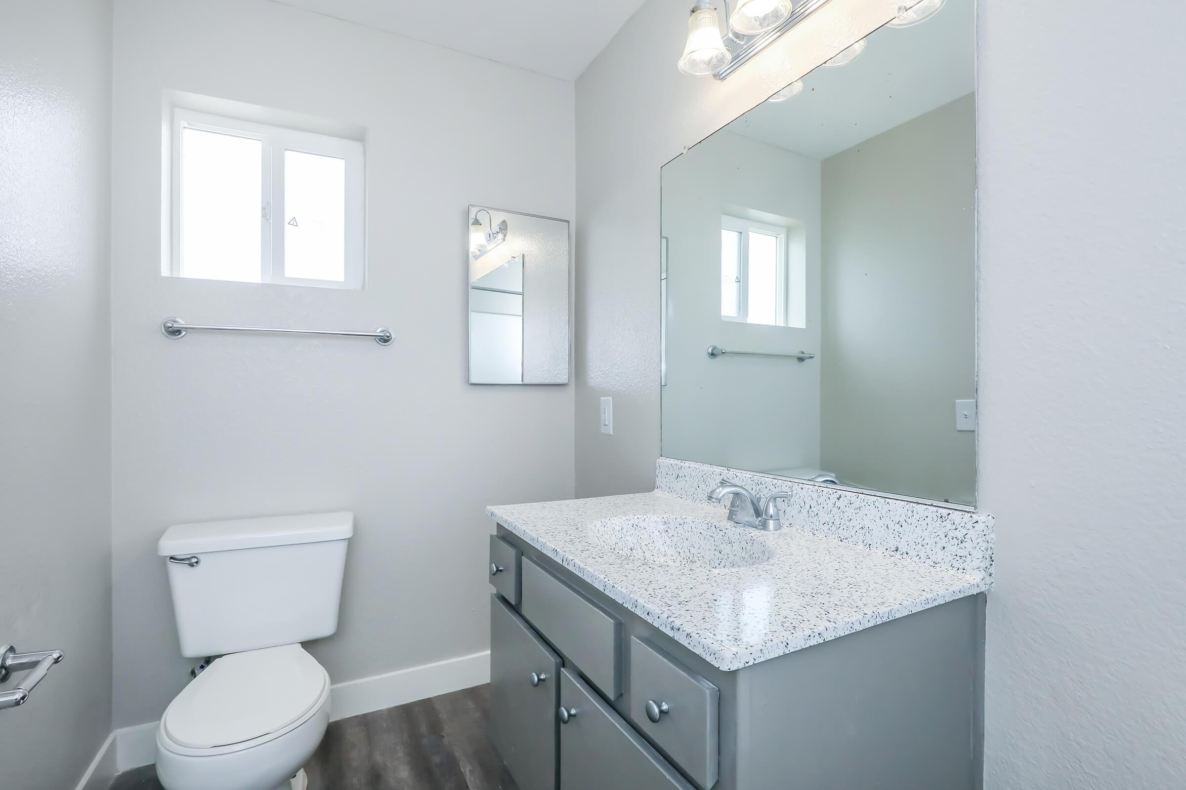 Modern bathroom featuring a gray vanity with a white countertop and sink, a white toilet, a large mirror above the vanity, and small windows letting in natural light. The walls are painted light gray, and the flooring is a wood-like laminate.