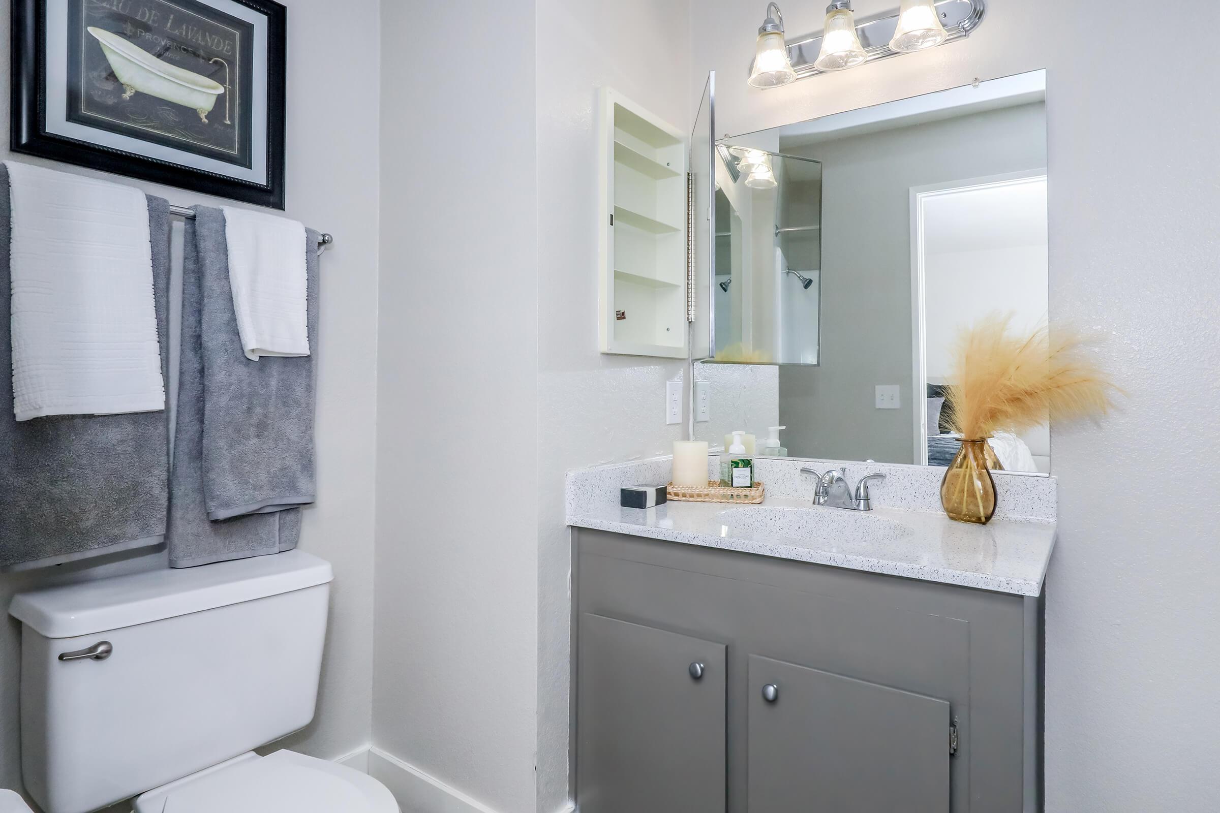 A modern bathroom featuring a white toilet, gray towels hanging on a rack, a granite countertop with decorative items, a mirror above the sink, and a minimalist vase with pampas grass. The walls are painted a light color, creating a clean and spacious atmosphere.