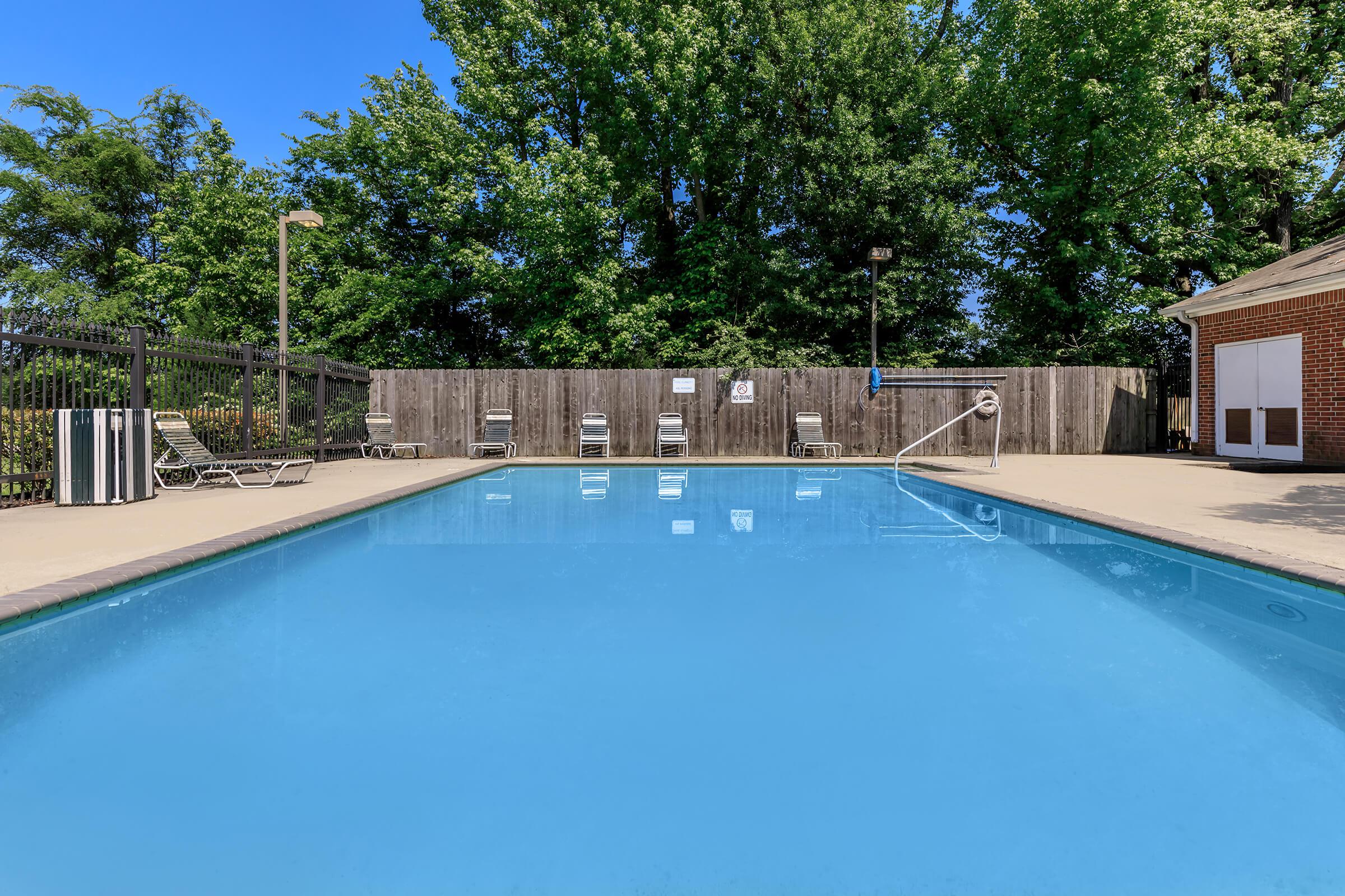 a group of people in a pool