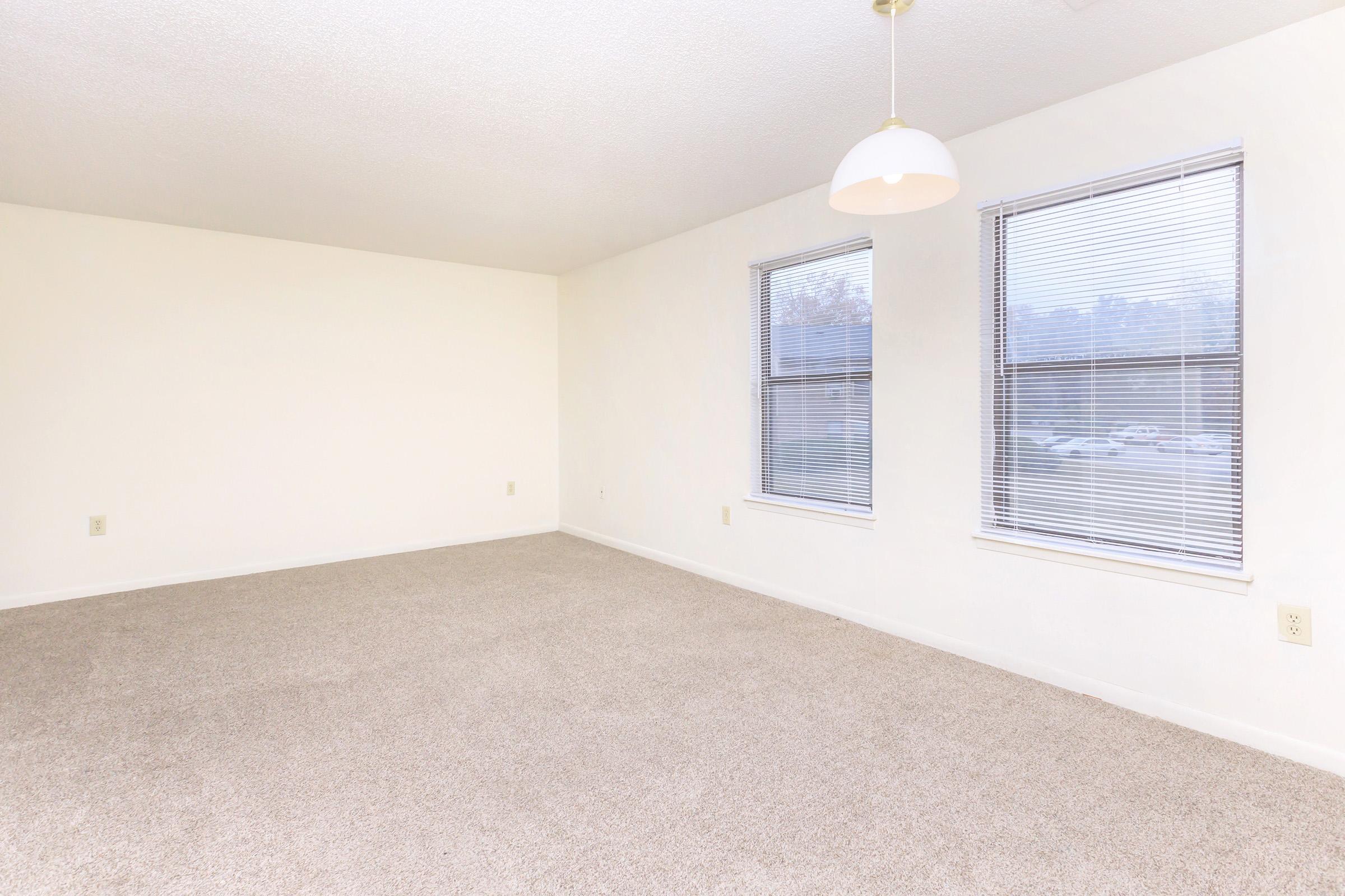 Spacious empty room with light-colored carpet, featuring two windows with blinds allowing natural light, and a simple ceiling light fixture. The walls are painted white, giving a clean and bright appearance. Ideal for decorating or furnishing.