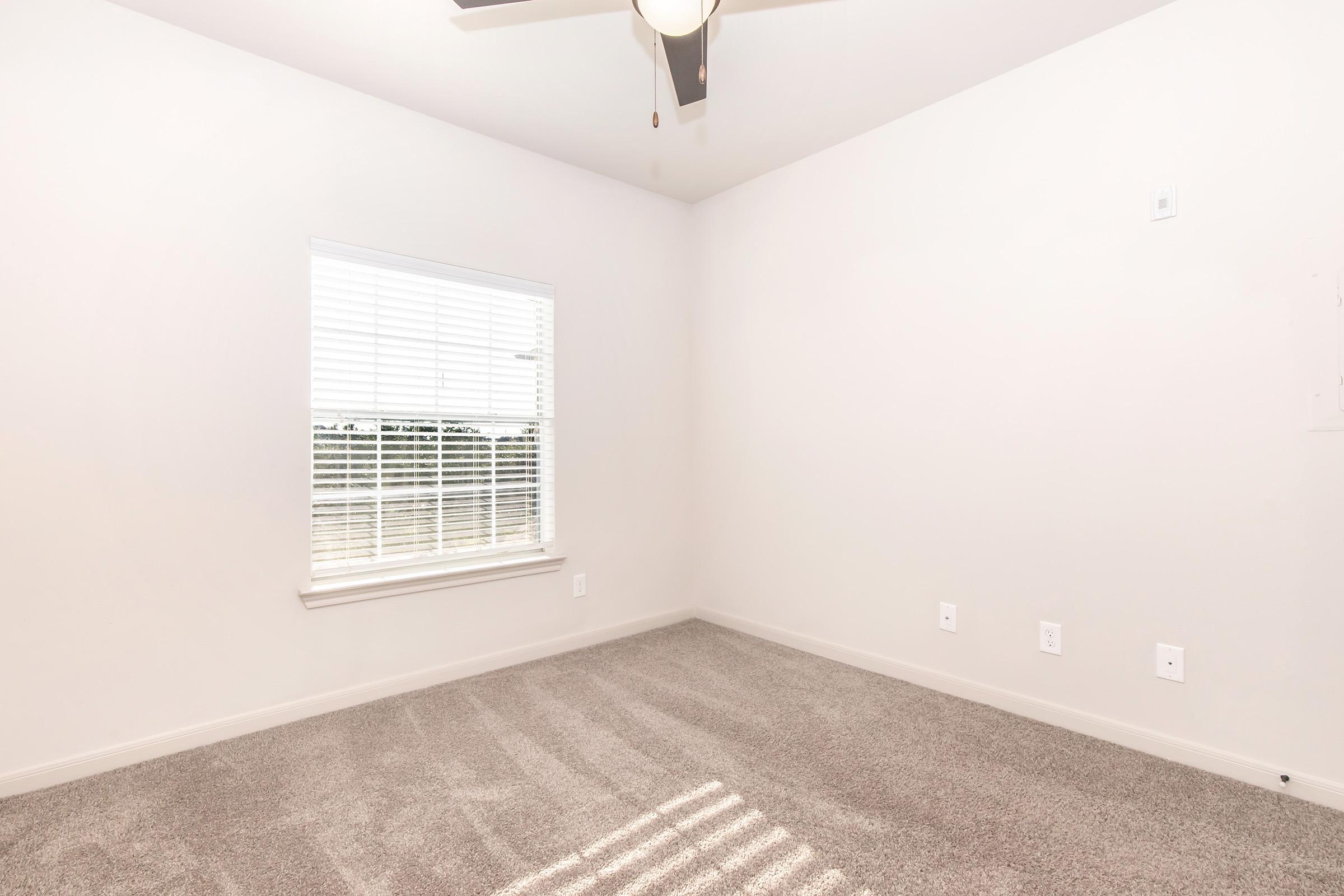 Empty room featuring light gray carpet and painted white walls. A single window with white blinds allows natural light to enter, and a ceiling fan is visible on the ceiling. The space appears spacious and uncluttered, ideal for various furniture arrangements.