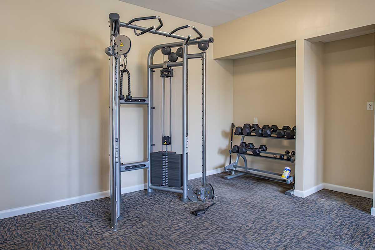 A home gym setup featuring a multi-use strength training machine with various attachments and a weight stack on the left, and a rack with a set of dumbbells on the right. The background has neutral-colored walls and carpet, creating a simple workout environment.
