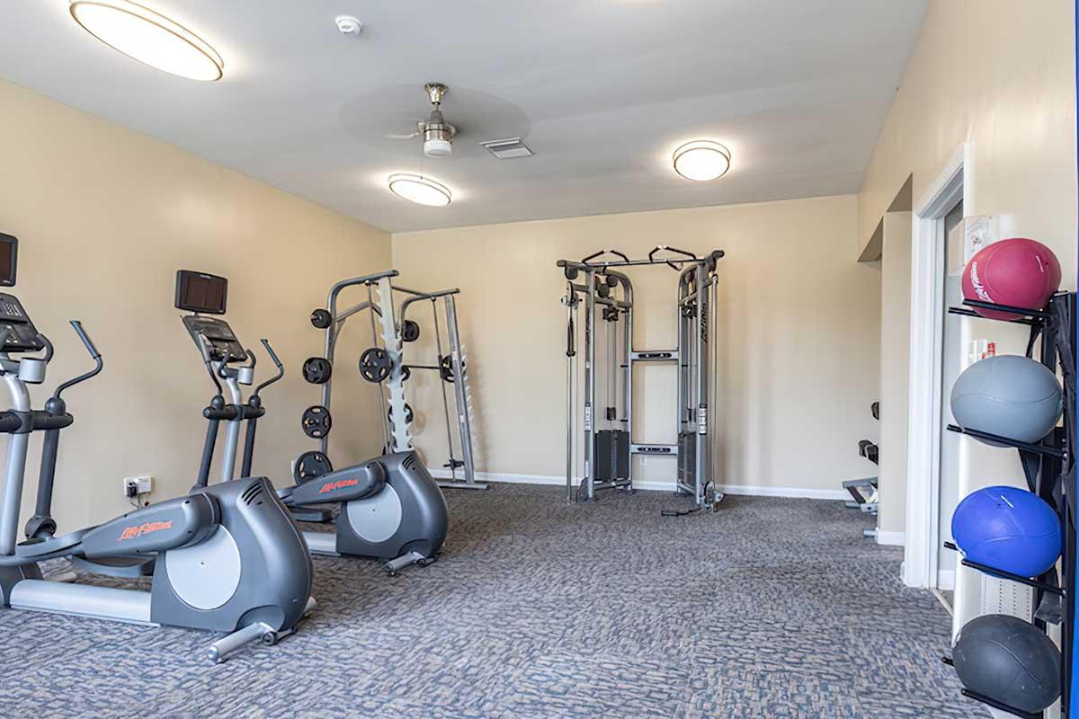 A well-lit gym featuring exercise equipment including treadmills, ellipticals, weight machines, and free weights. The room has a clean, modern design with muted colors and comfortable flooring, providing an inviting atmosphere for workouts.