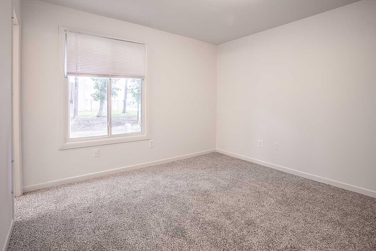 Empty room with light gray carpet, white walls, and a window with a blind. Natural light is coming through the window, illuminating the space. There are no furniture or decorations, creating a minimalist and open atmosphere.