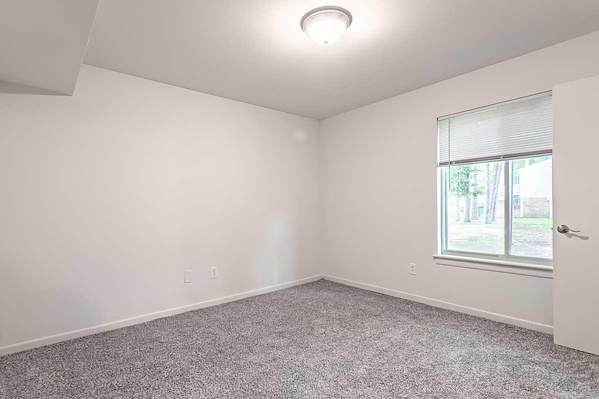A simple, empty room with gray carpet and white walls. A window on the right side allows natural light to enter, showing a view of greenery outside. The ceiling features a round light fixture, and there is a closed white door on the left side of the image. The overall atmosphere is minimalistic and bright.