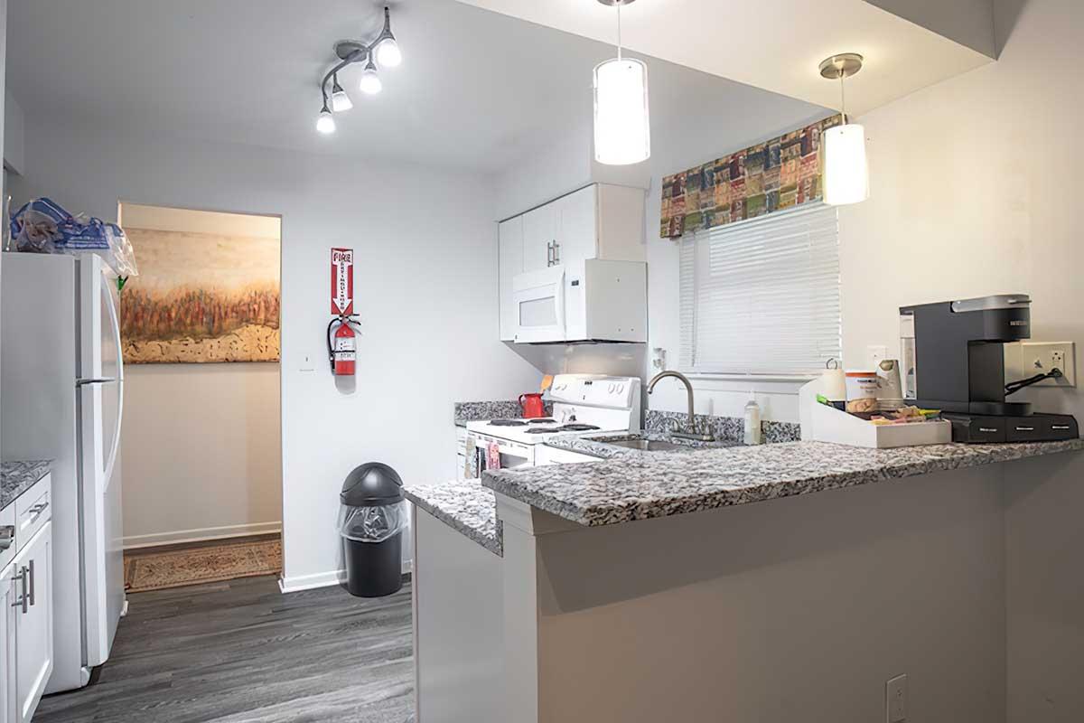 Modern kitchen featuring granite countertops, white cabinets, and stainless steel appliances. A refrigerator and trash can are visible, along with a microwave and coffee maker. Natural light filters in through a window, and there is a decorative wall art in the background. Bright overhead lighting illuminates the space.