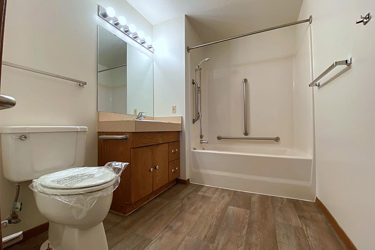 A clean and modern bathroom featuring a white bathtub with grab bars, a wall-mounted mirror above a beige vanity with wooden cabinetry, a toilet, and light fixtures above the mirror. The flooring is a wood-like laminate, and the overall design is simple and functional.