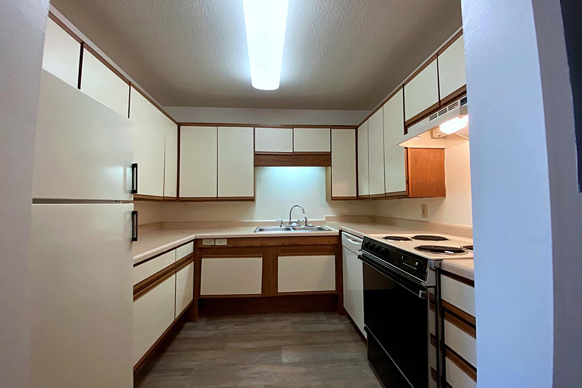 A modern kitchen featuring light-colored cabinets with wooden accents, a double sink, and a black stove with a matching oven. The kitchen has a spacious layout with ample counter space and a refrigerator partially visible. Bright overhead lighting illuminates the room, creating a welcoming atmosphere.