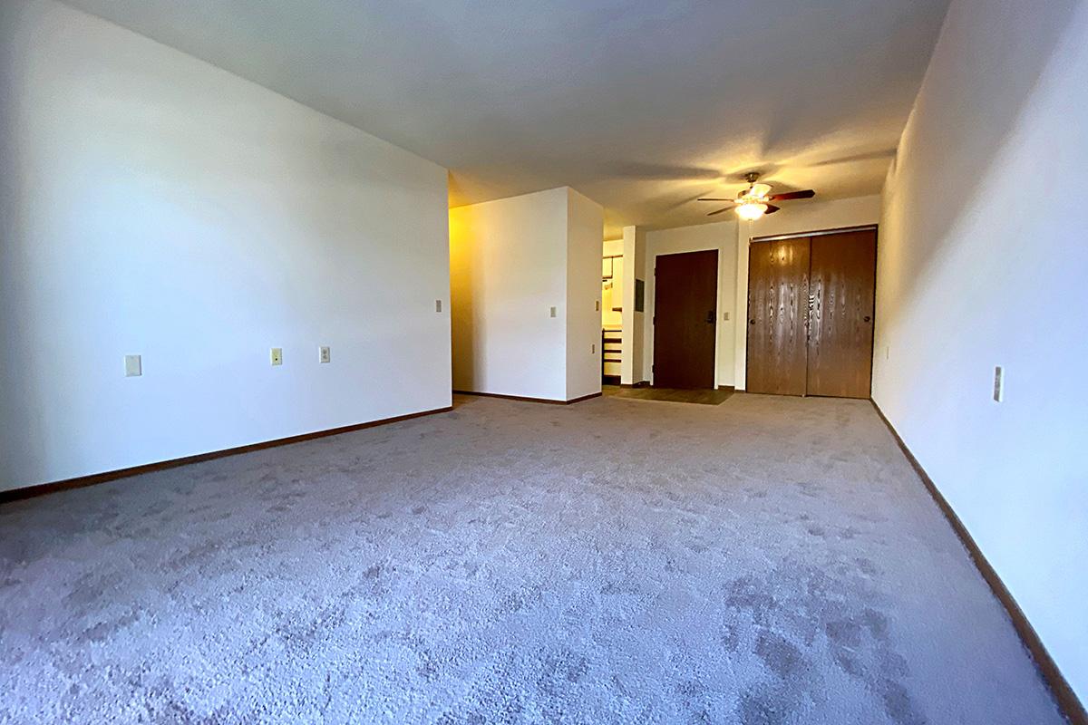 A spacious, empty room featuring light-colored walls and a plush carpet. The room has a ceiling fan and several light switches on the walls. There are two closed wooden doors, indicating potential storage or additional rooms. Soft natural light illuminates the space, creating a welcoming atmosphere.