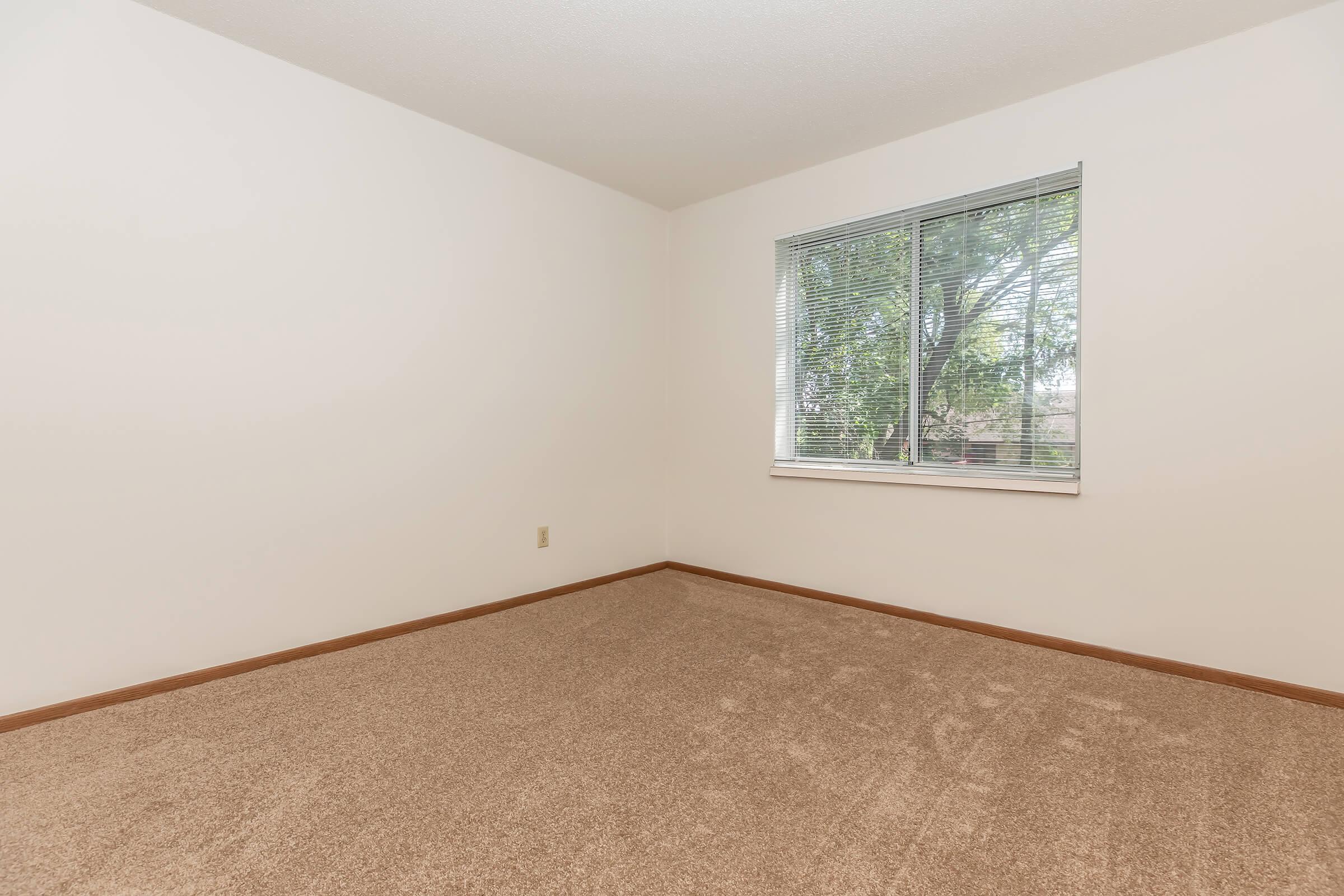 Empty room with light-colored walls and a carpeted floor. A window with horizontal blinds allows natural light to enter, showcasing a view of greenery outside. The room is unfurnished, creating a spacious and minimalistic atmosphere.