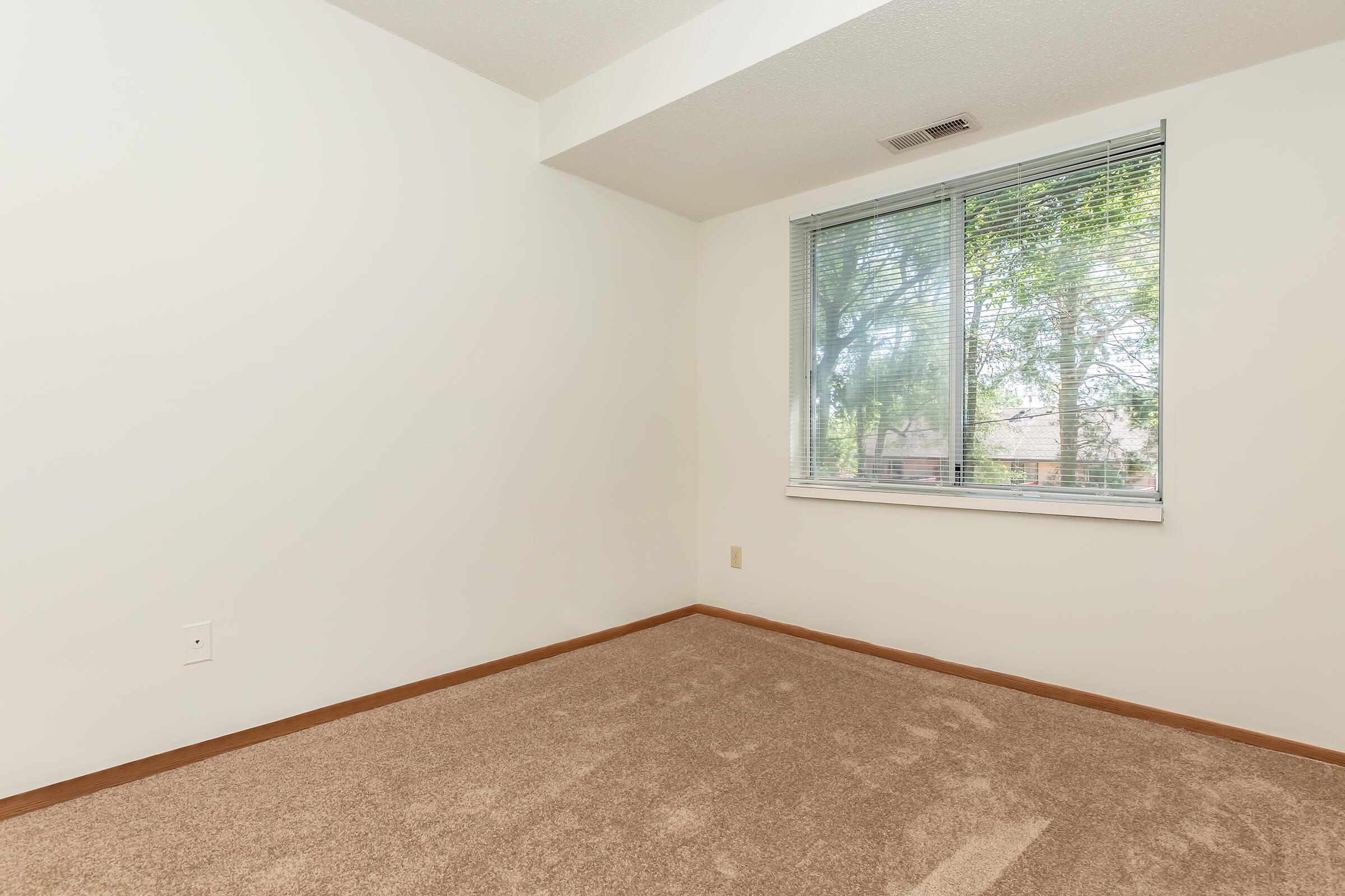 A vacant room with light-colored walls and beige carpet. A large window with blinds allows natural light to enter, revealing green trees outside. The room has no furniture or decoration, creating a blank canvas feel. The overall atmosphere is bright and airy.