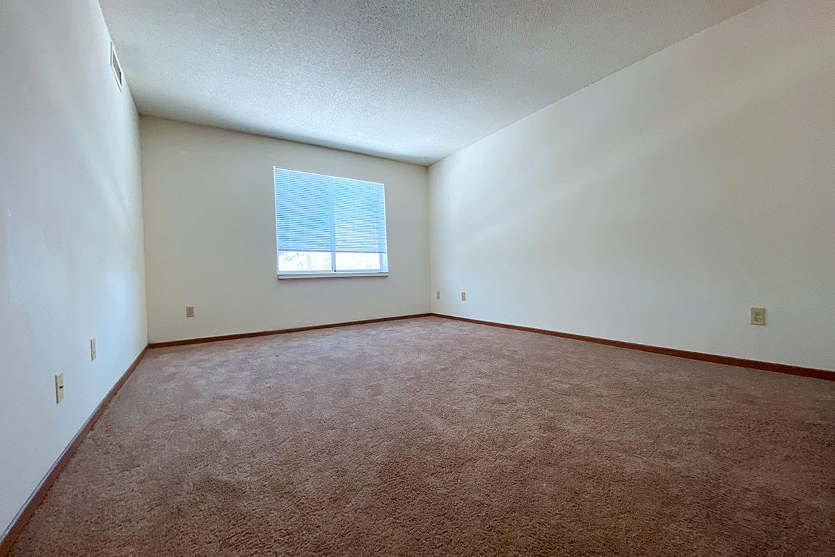 A spacious, empty room with light beige walls and a light brown carpet. A large window on the left side allows natural light to fill the space, casting soft shadows. The room has no furniture, creating a feeling of openness and potential for various uses.