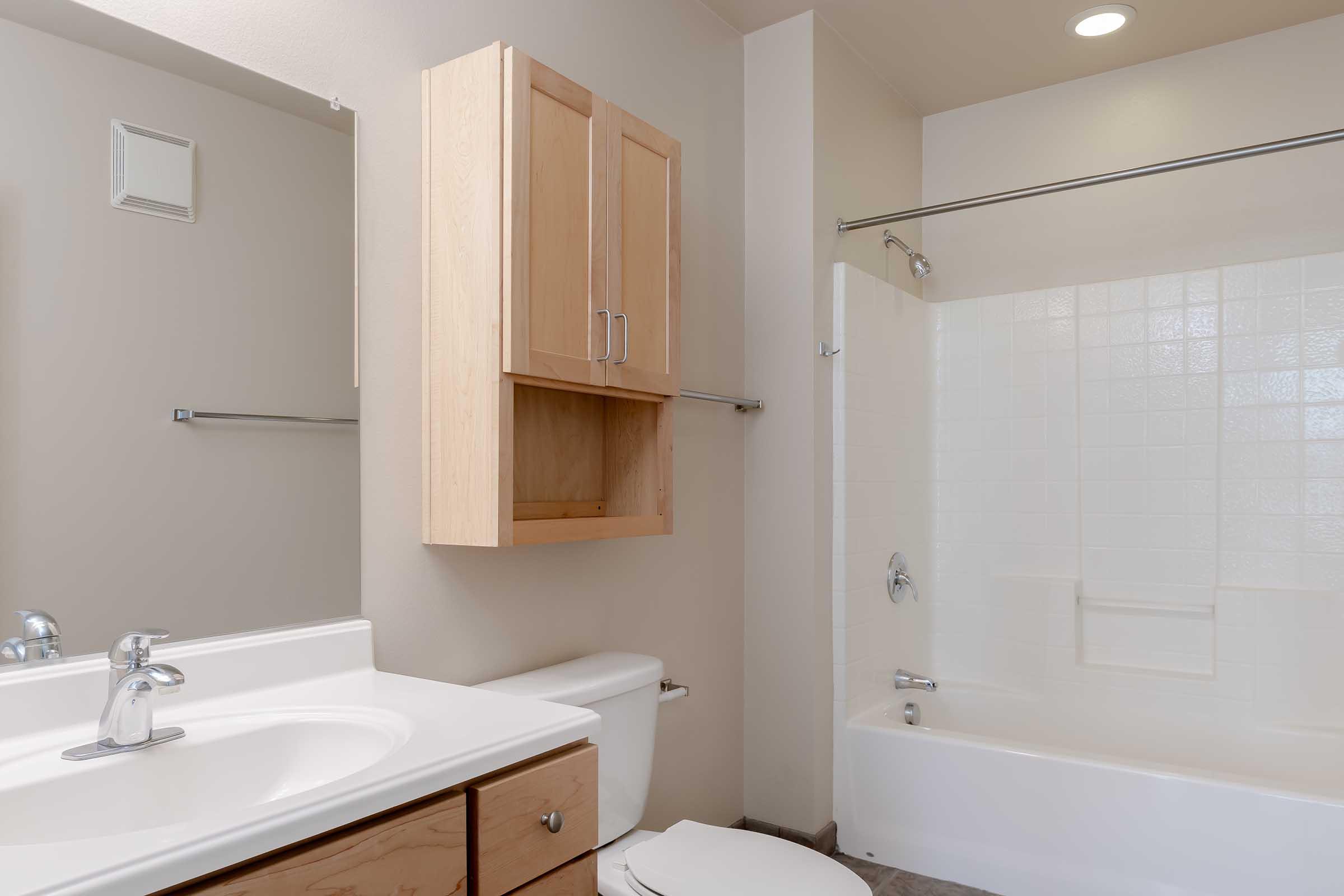 a bathroom with a sink and a toilet