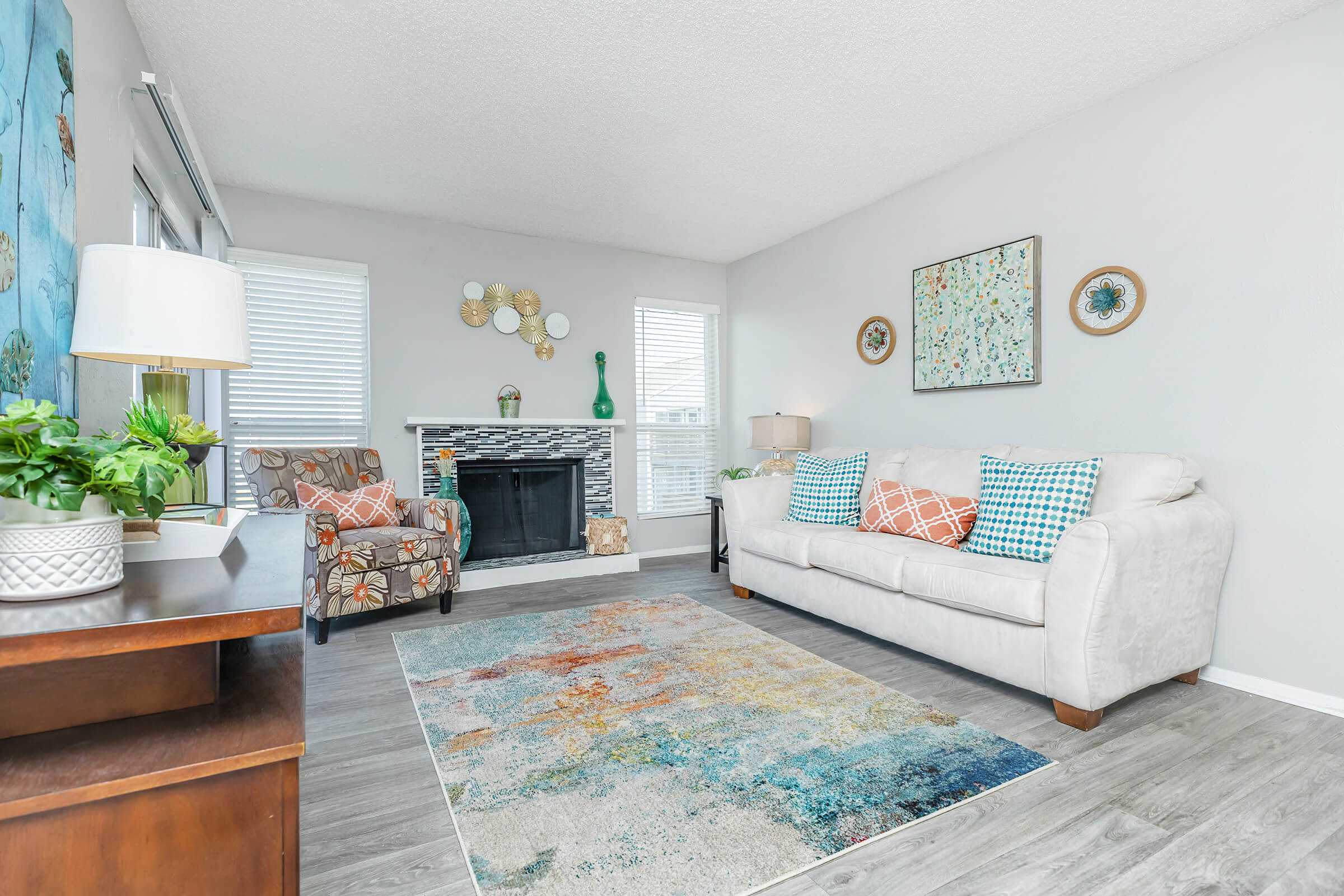 Apartment Features