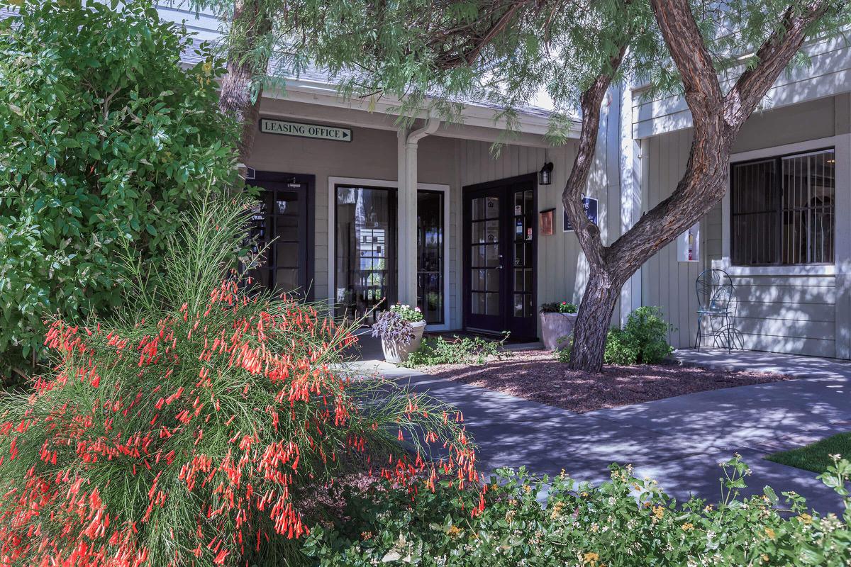 a house with bushes in front of a building