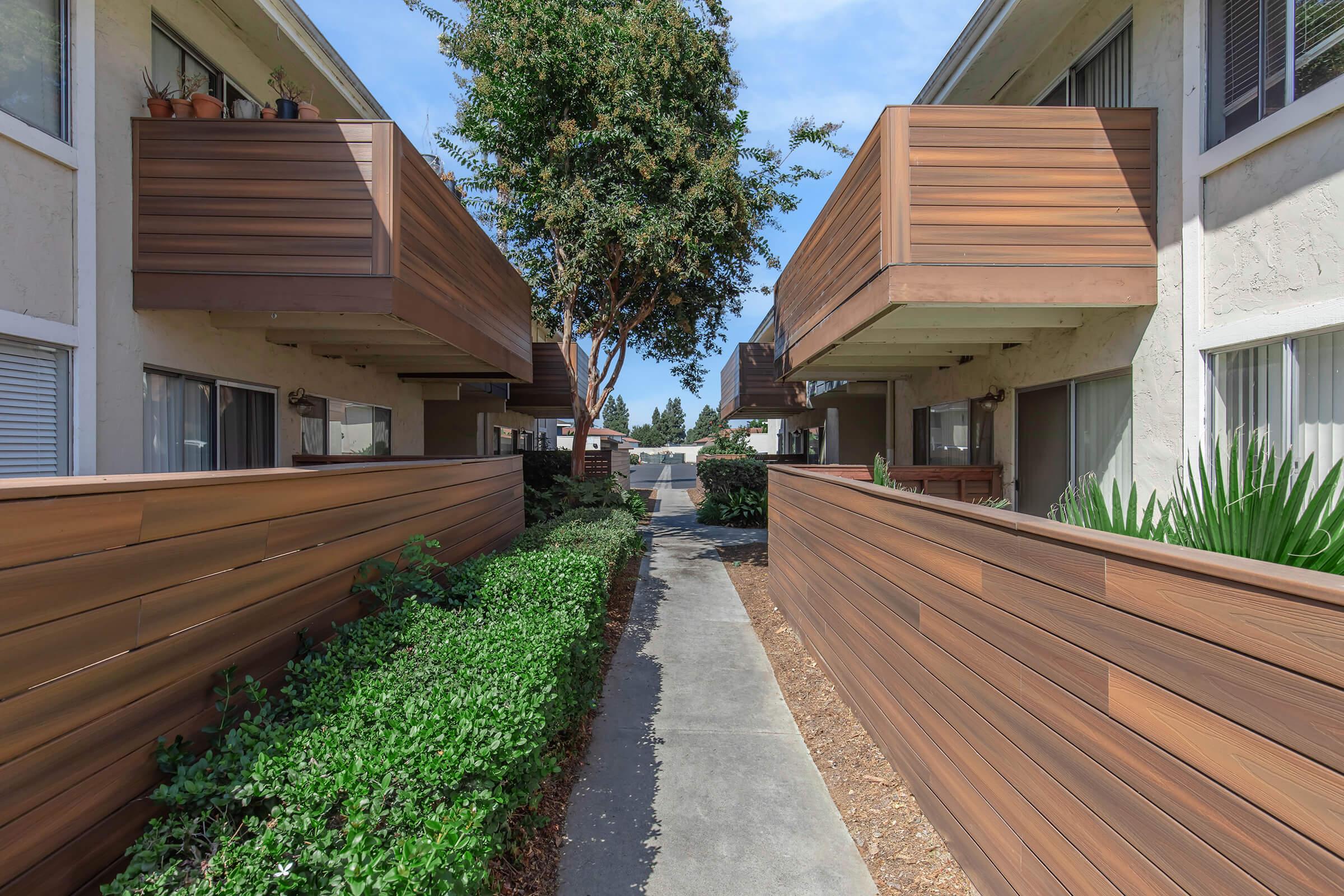 a path with trees on the side of a building