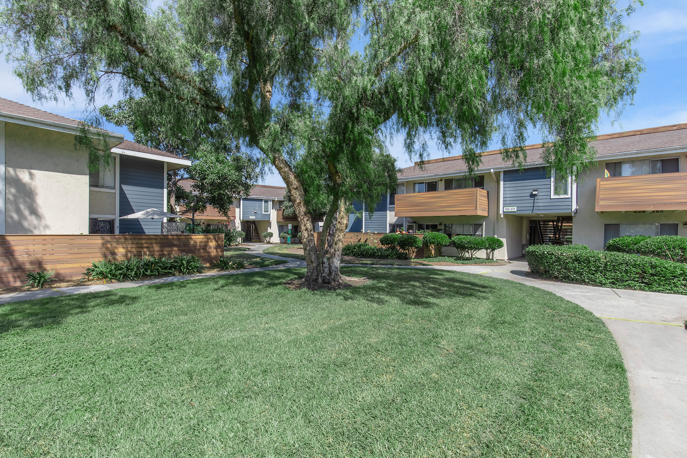 One Bedroom Apartments in Oceanside CA - The Dylan - Outdoor View of Apartments with Lush Green Lawns, Walking Paths, and Large Tree with Plenty of Shade.