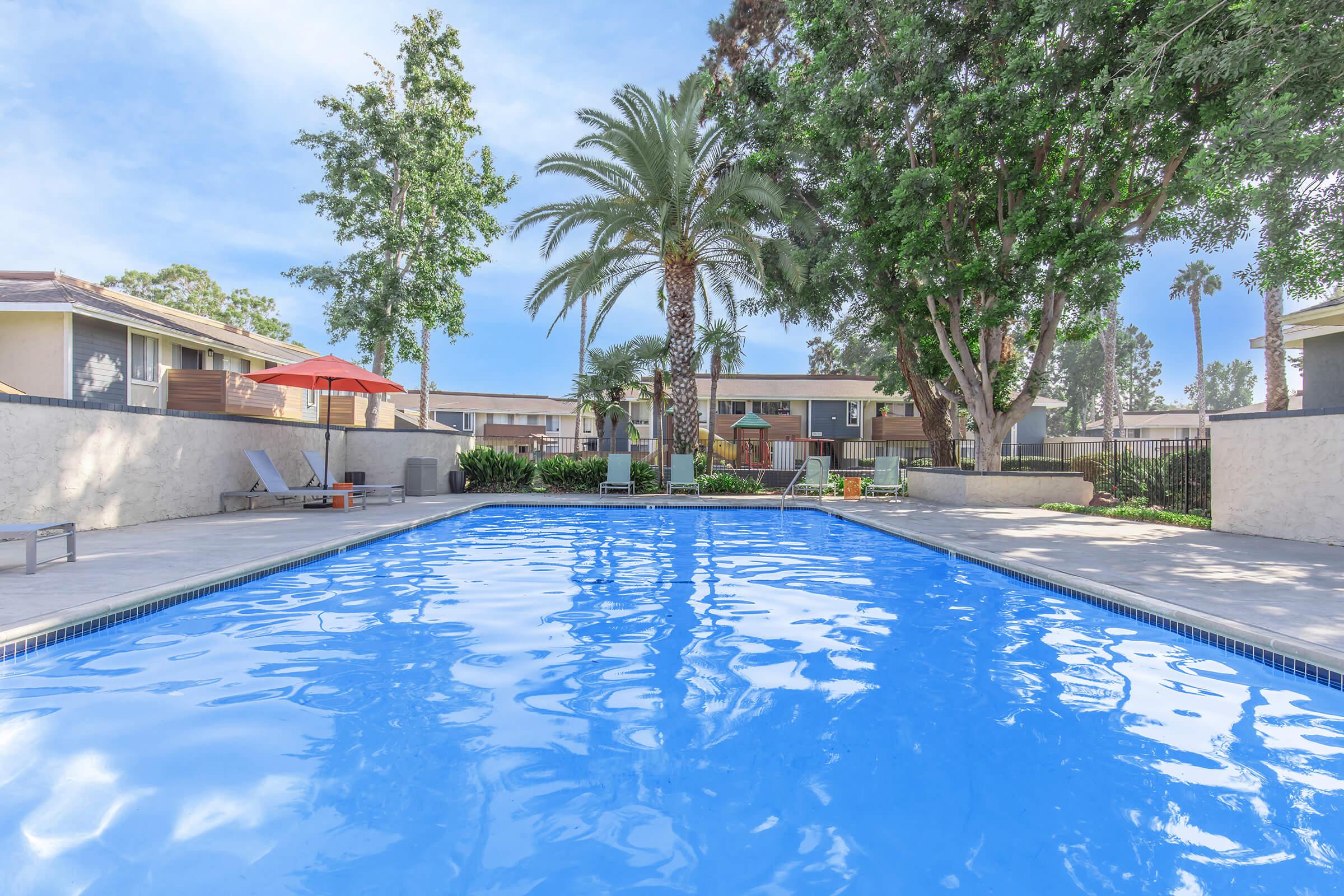 Oceanside, CA Apartments For Rent - The Dylan - Sparkling Swimming Pool With Lounge Chairs And Umbrellas Surrounded By Lush Greenery