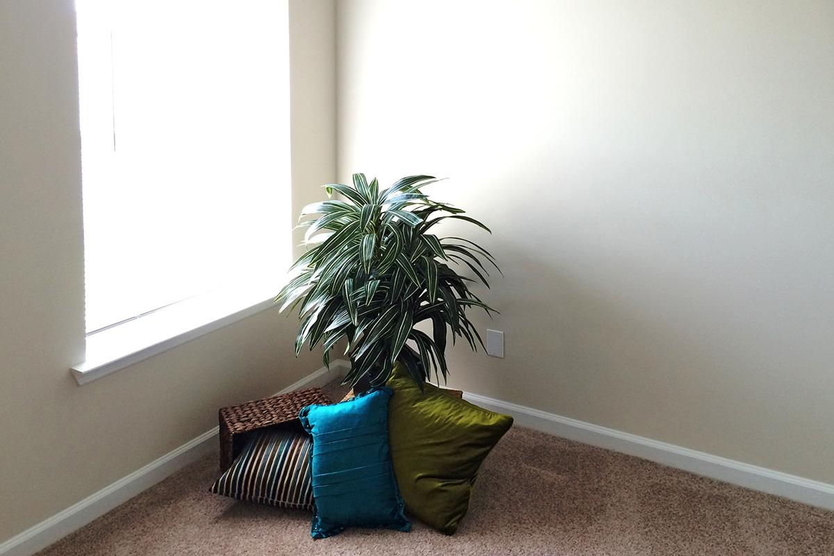 a living area with palm trees on a sunny window